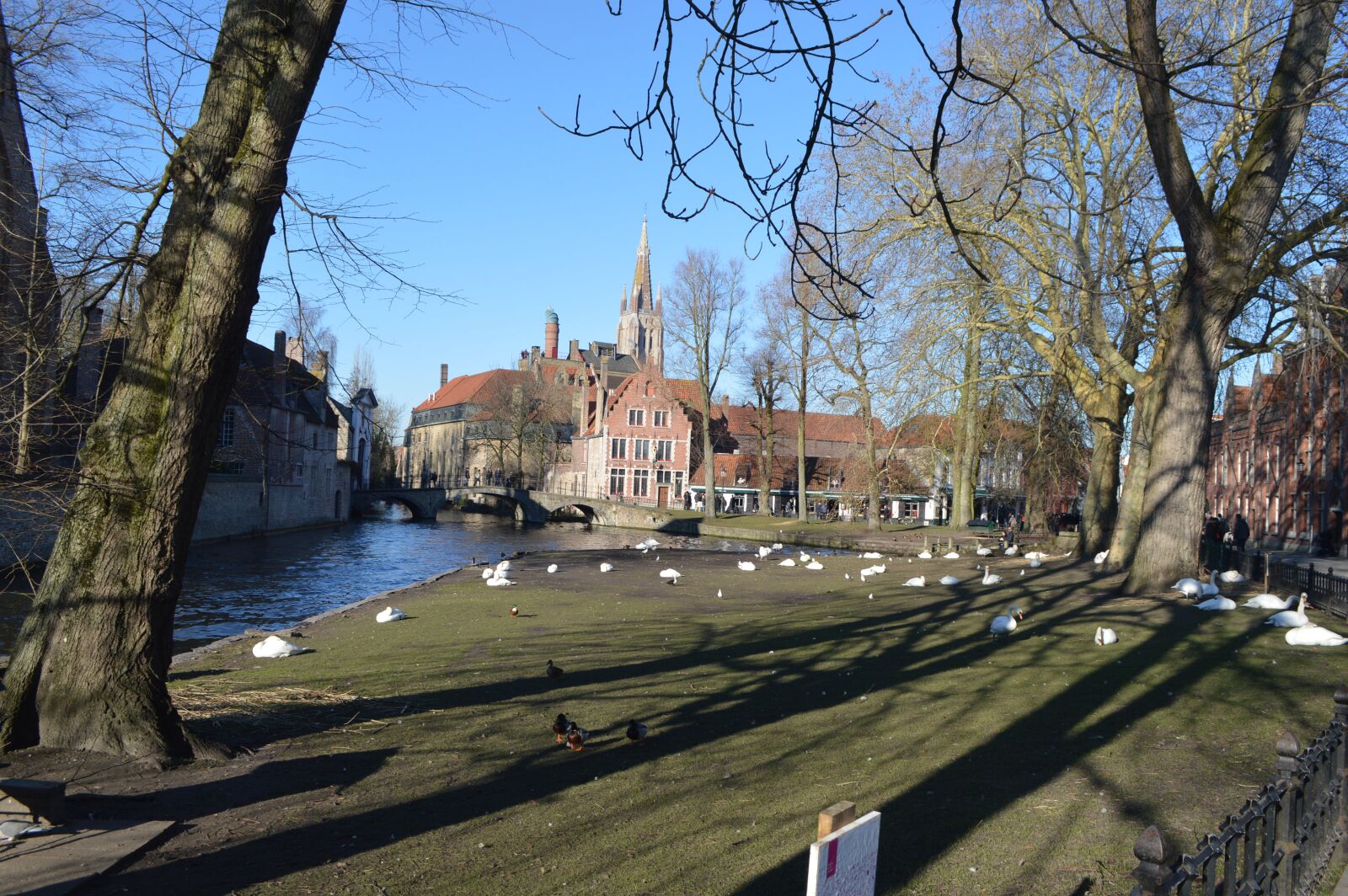 Nikon D3200 sample photo. Brugges, bruges, belgium photography