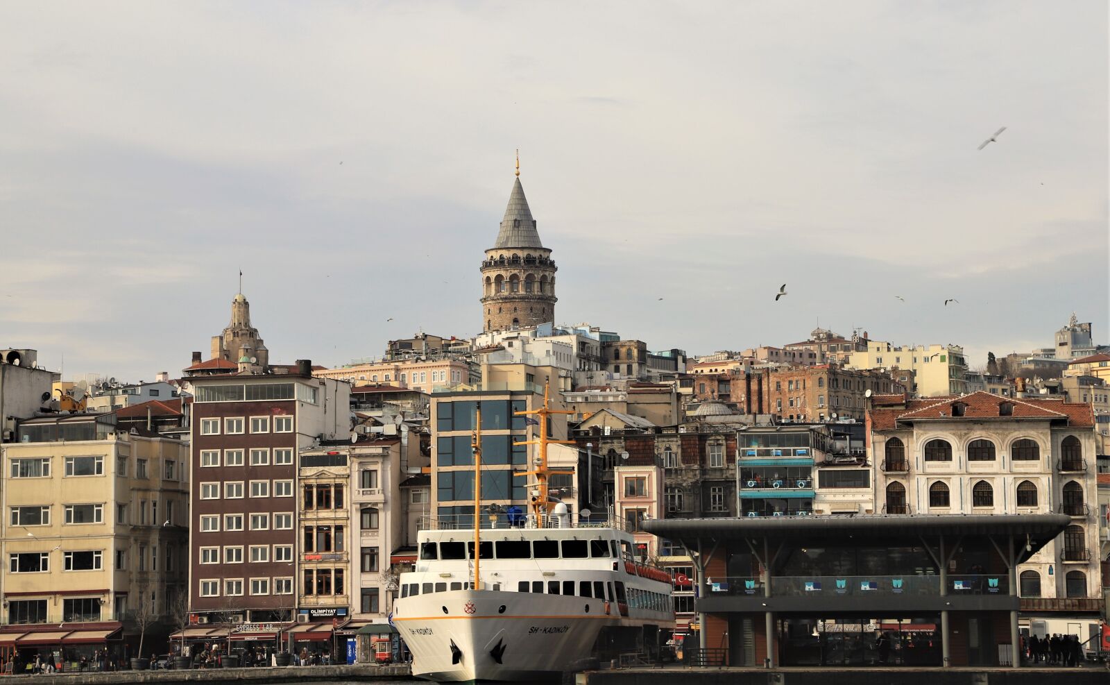 Canon EOS 6D Mark II + Canon EF 24-105mm F4L IS USM sample photo. Galata tower, galata, istanbul photography