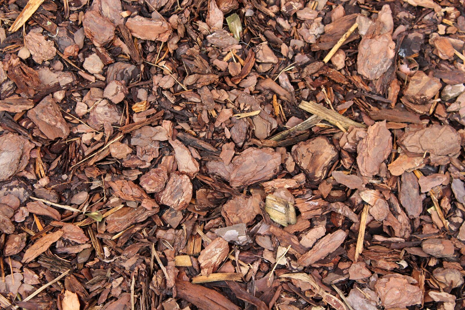 Canon EOS 1200D (EOS Rebel T5 / EOS Kiss X70 / EOS Hi) sample photo. Substrate, the bark, wood photography