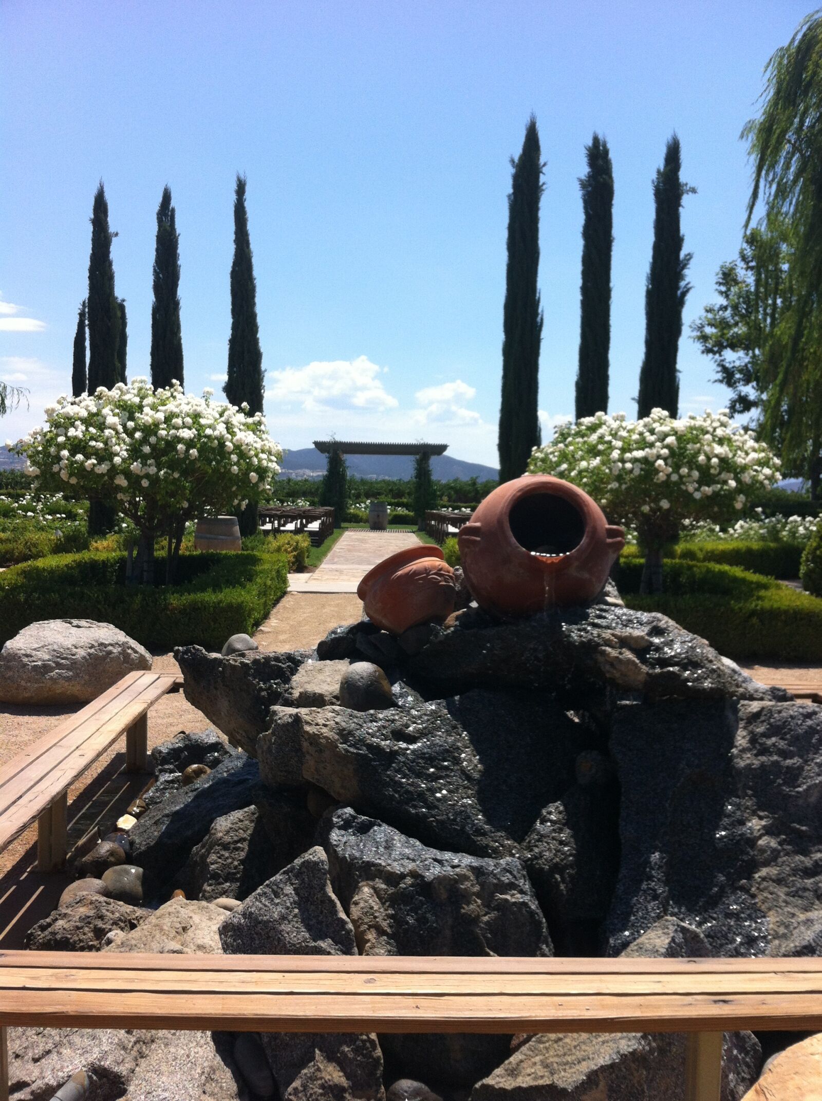 Apple iPhone 4 sample photo. Vineyard, relax, travel photography