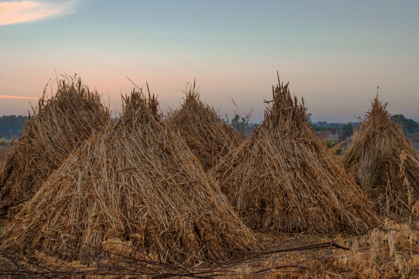 Nikon D5300 sample photo. Hay, wheat, field photography