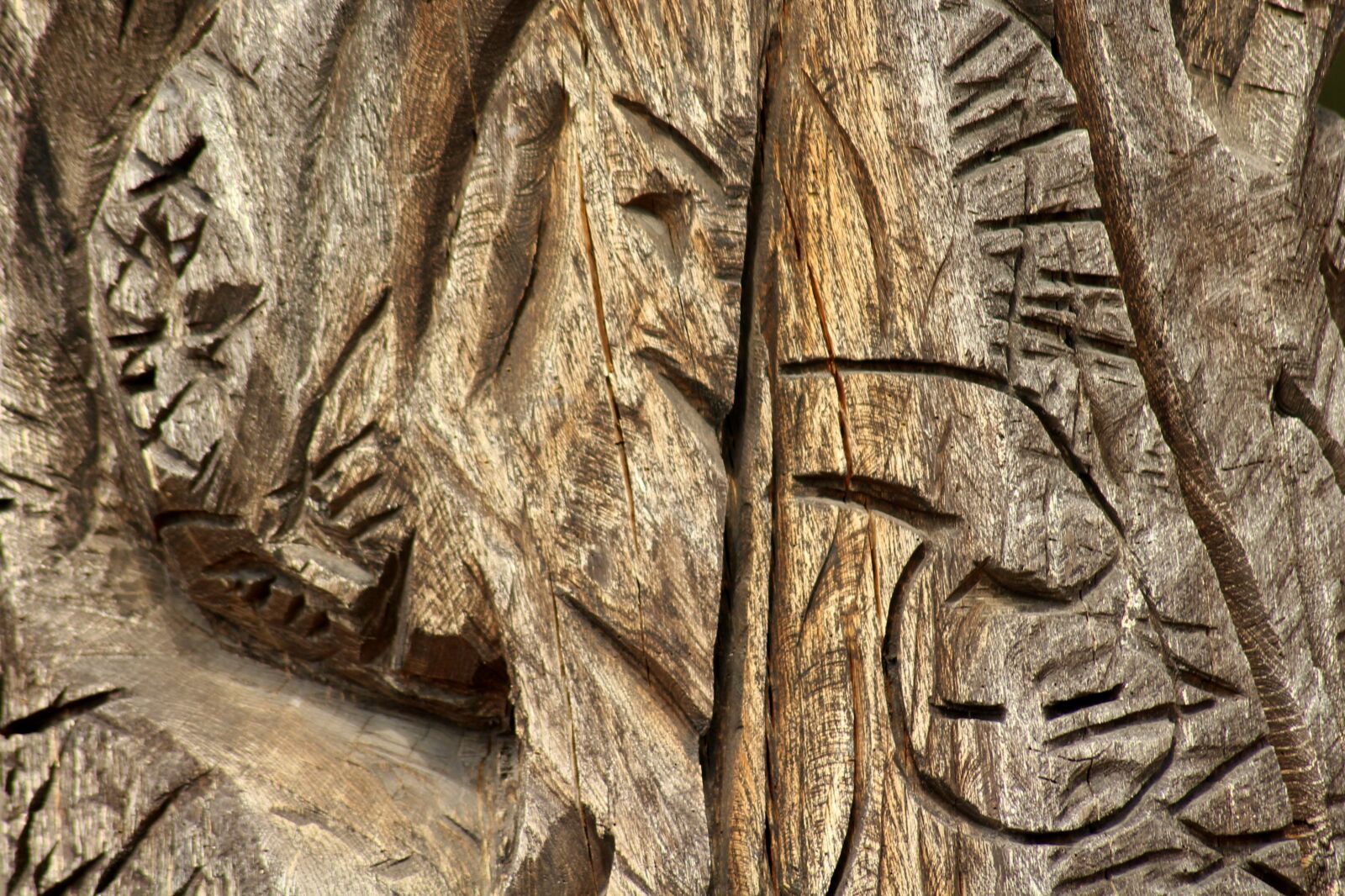 Canon EOS 1200D (EOS Rebel T5 / EOS Kiss X70 / EOS Hi) sample photo. Wood, carved, the background photography