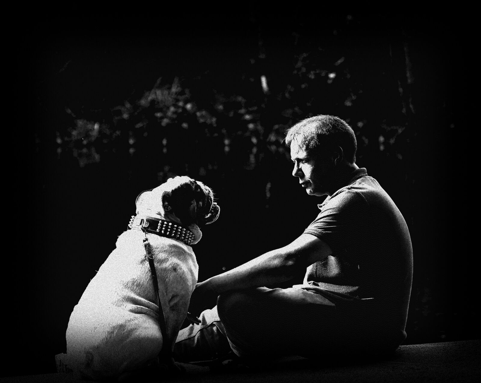 Nikon D3200 sample photo. Friendship, pet, bulldog photography
