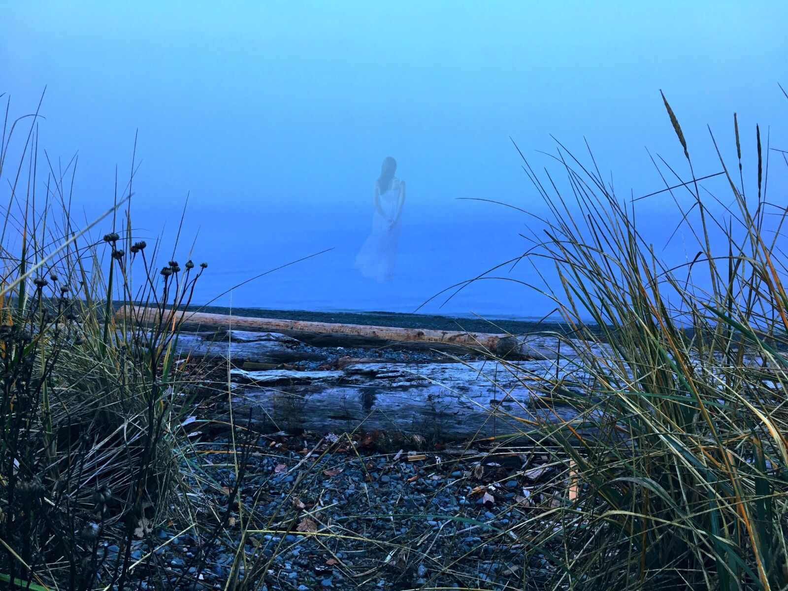 Apple iPhone 6s sample photo. Ocean, fog, nature photography