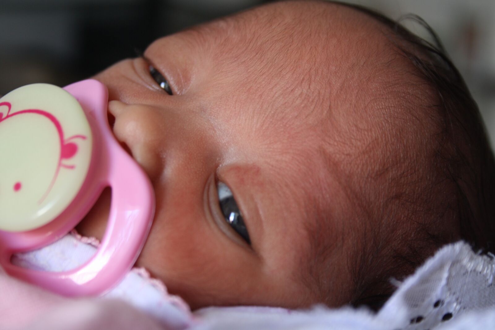 Canon EOS 1000D (EOS Digital Rebel XS / EOS Kiss F) sample photo. Baby, isabella, bebe photography