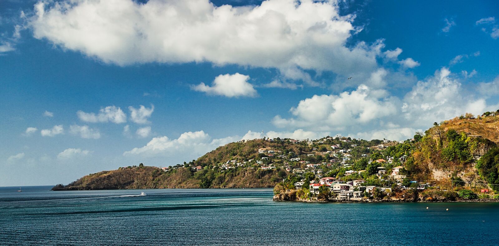 Canon EF 24-105mm F4L IS II USM sample photo. Grenada, st, georges photography