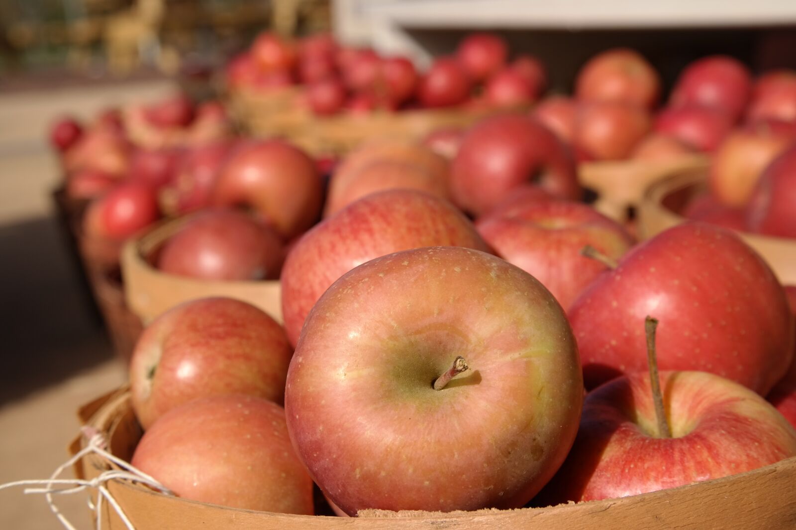 Samsung NX300 sample photo. Apple, harvest, red photography