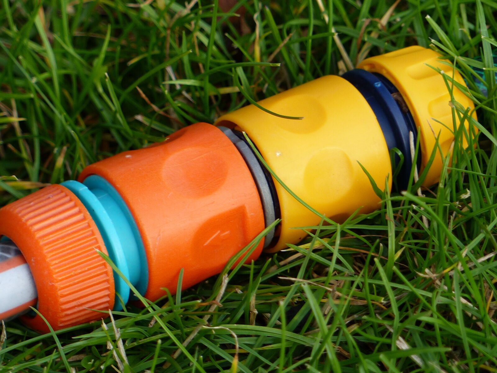 Panasonic Lumix DMC-FZ200 sample photo. Hose couplings, colors, grass photography