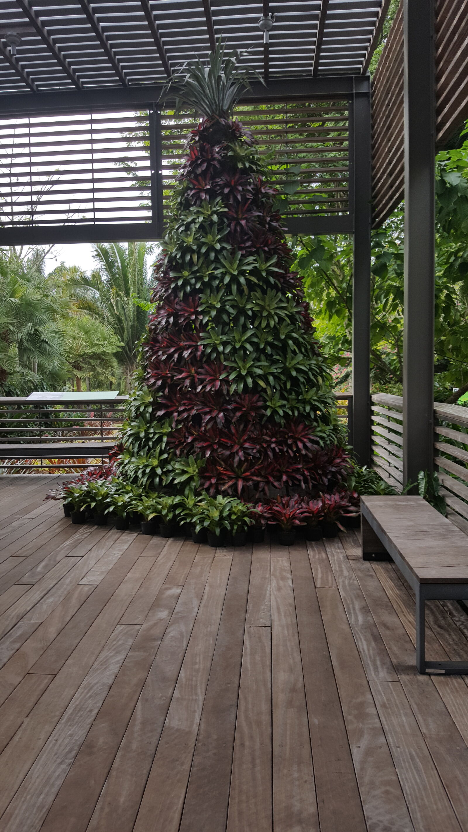 Samsung GALAXY S6 edge sample photo. Botanical, gardens, naples photography