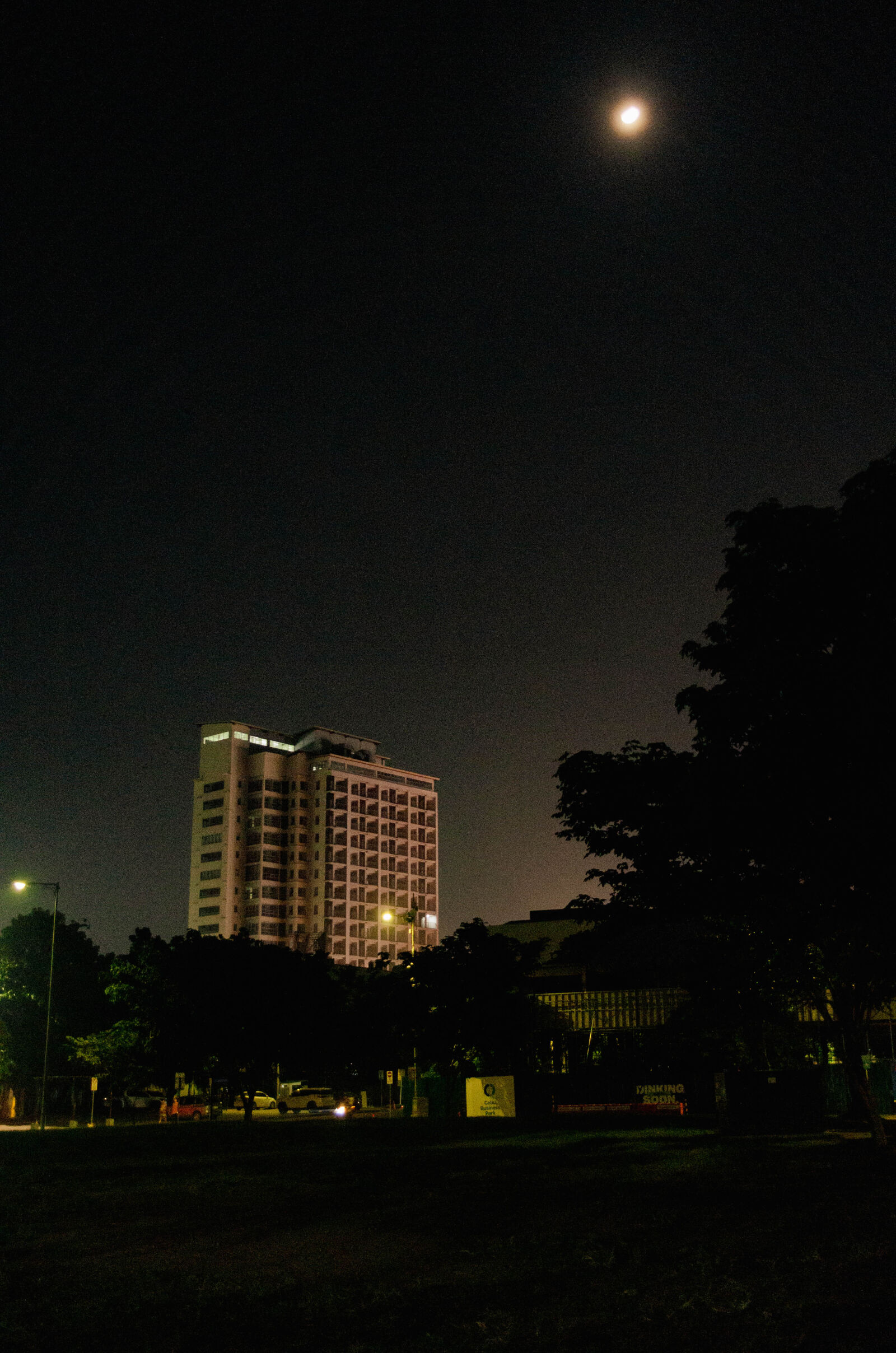 Pentax K-01 sample photo