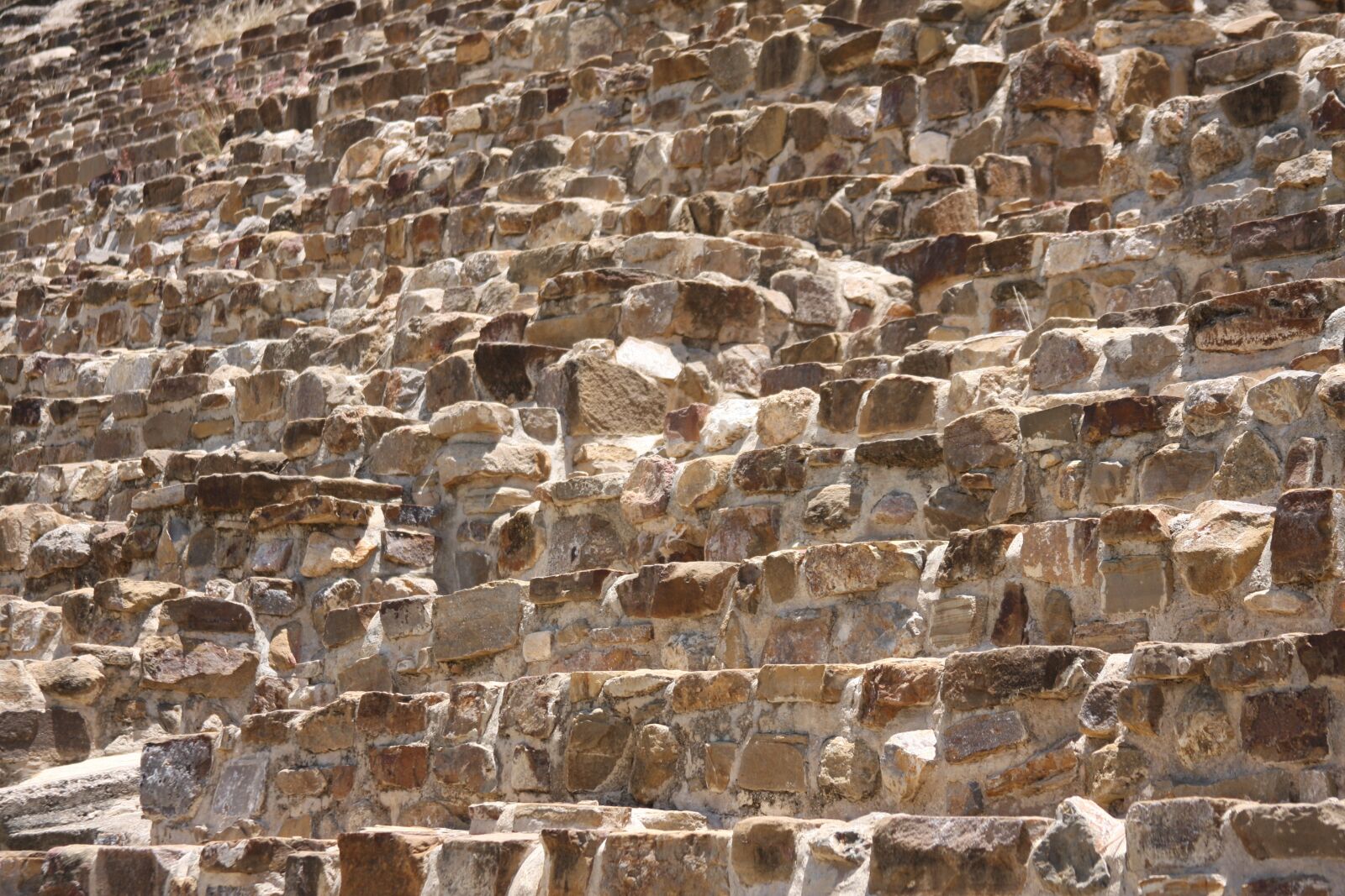 Canon EOS 40D sample photo. Monte alb n, oaxaca photography