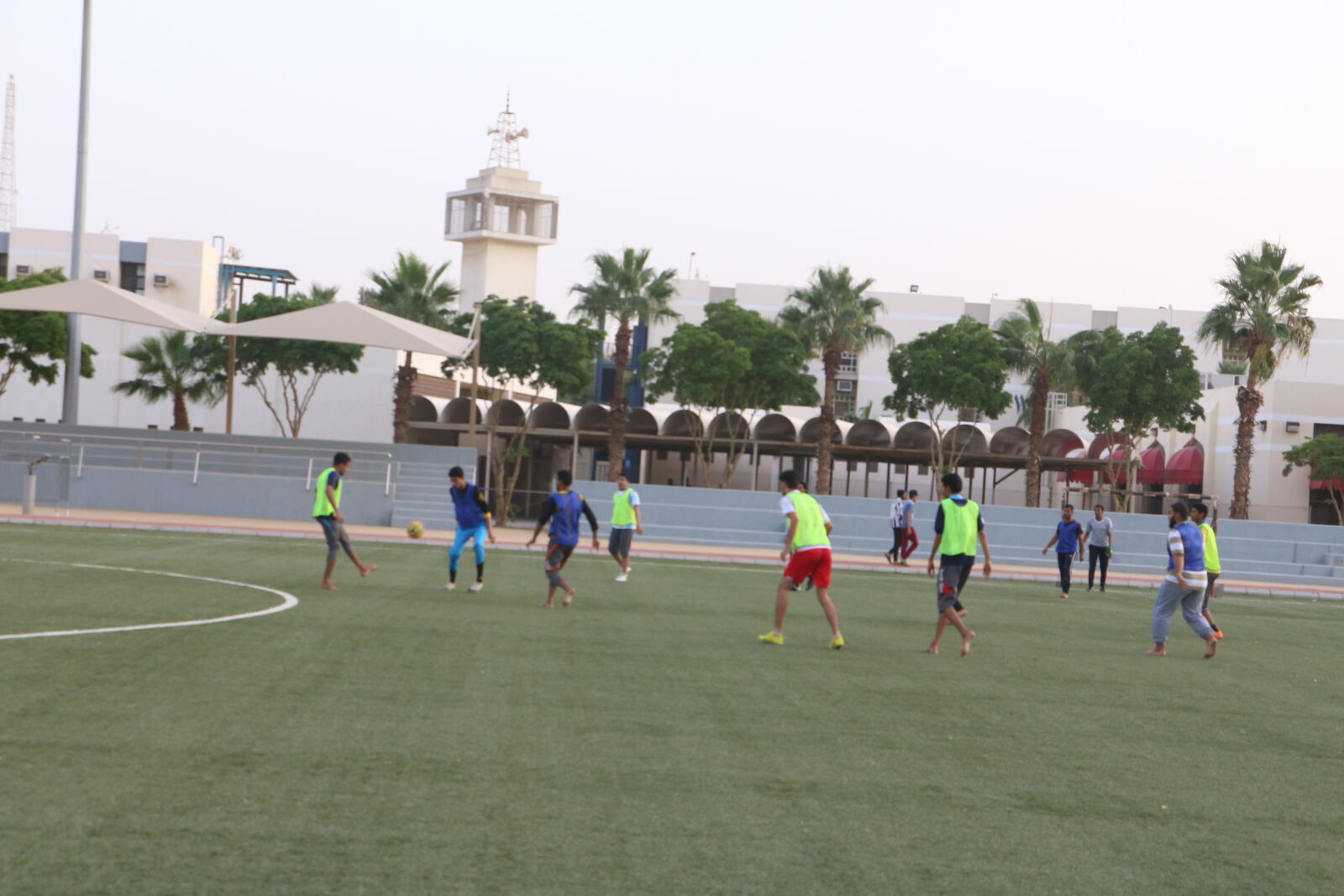 Canon EOS 70D sample photo