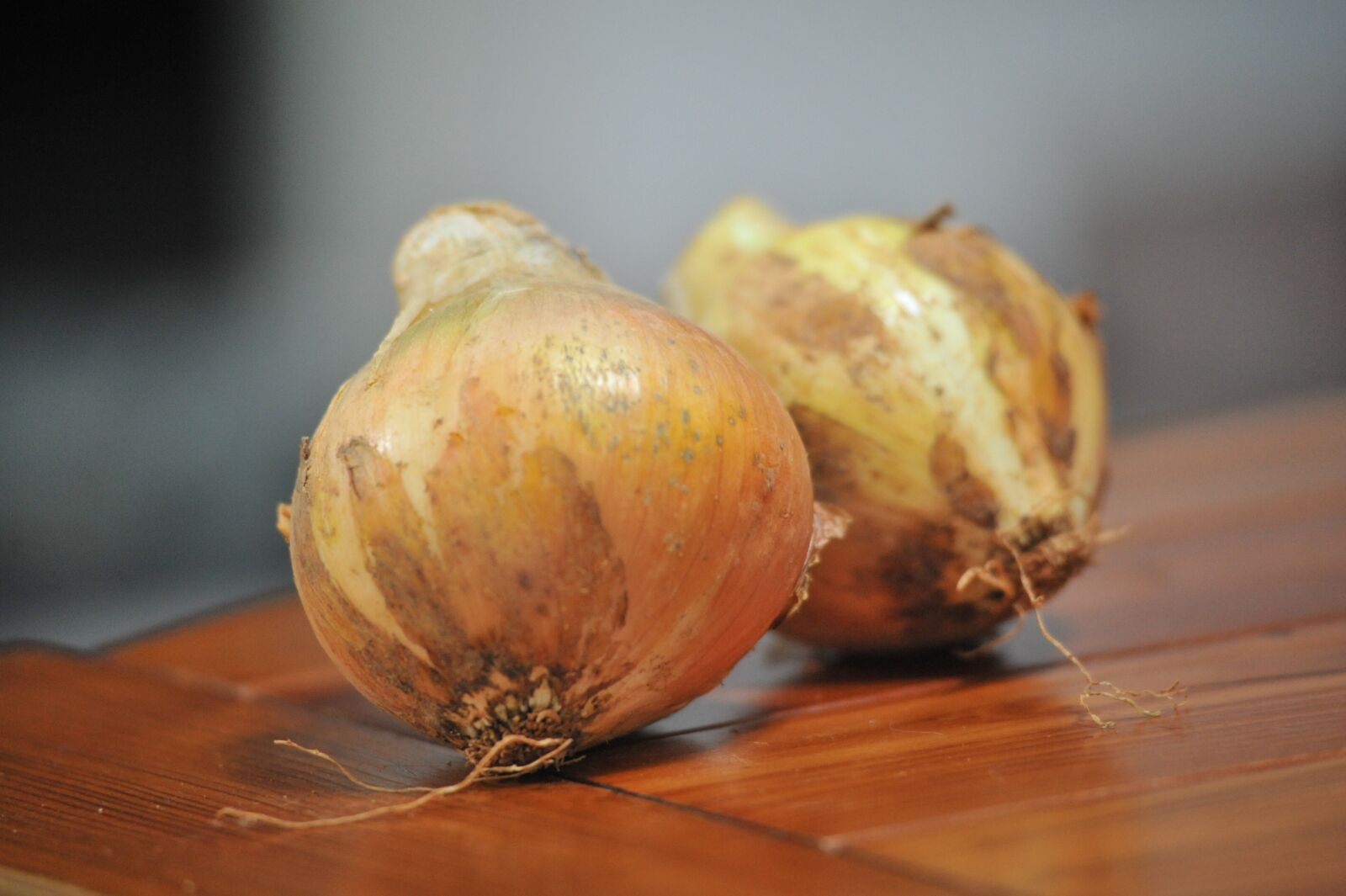 Nikon D700 sample photo. Onion, vegetables, food photography