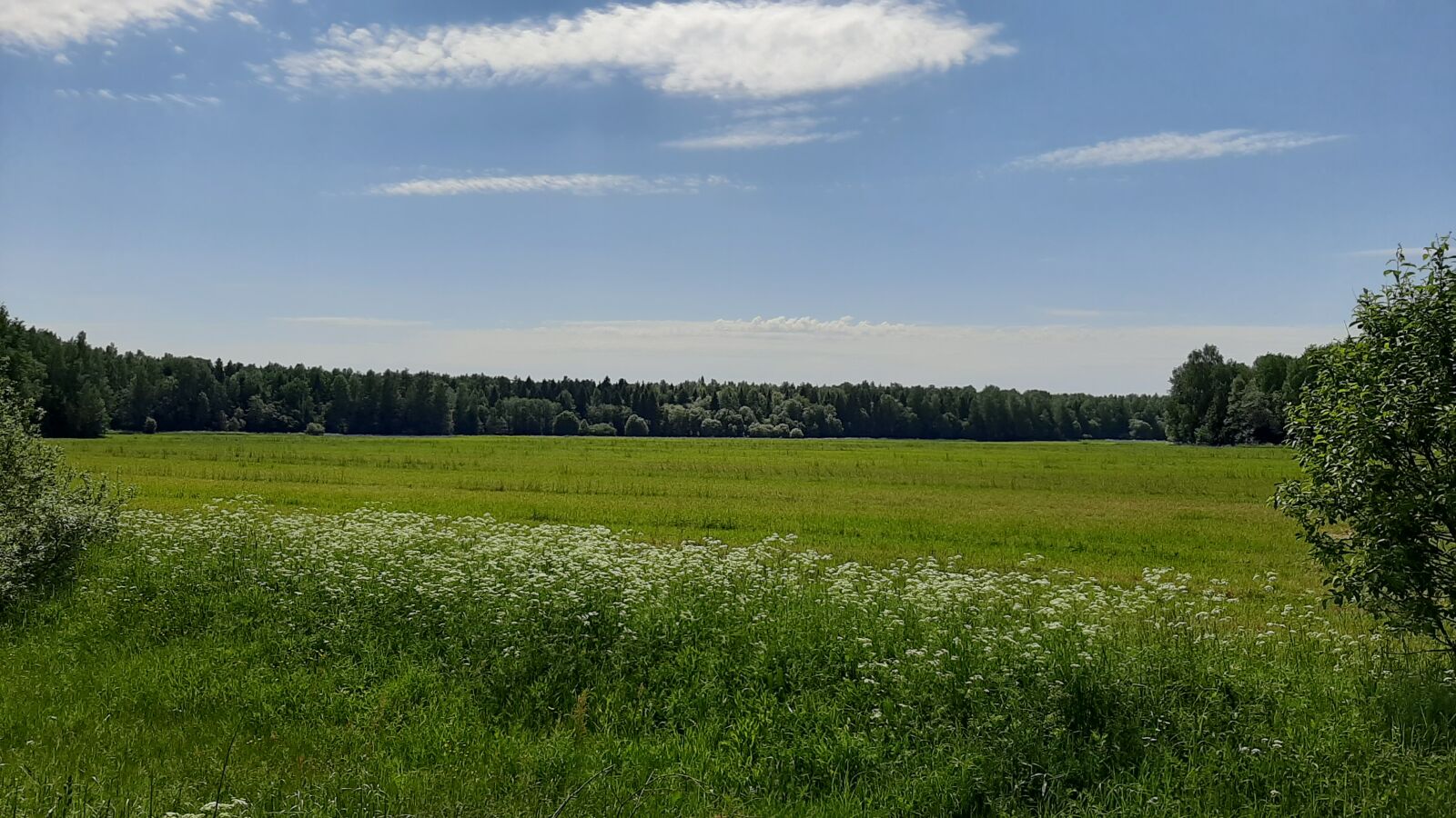 Samsung Galaxy A50 sample photo. Sky, field, landscape photography