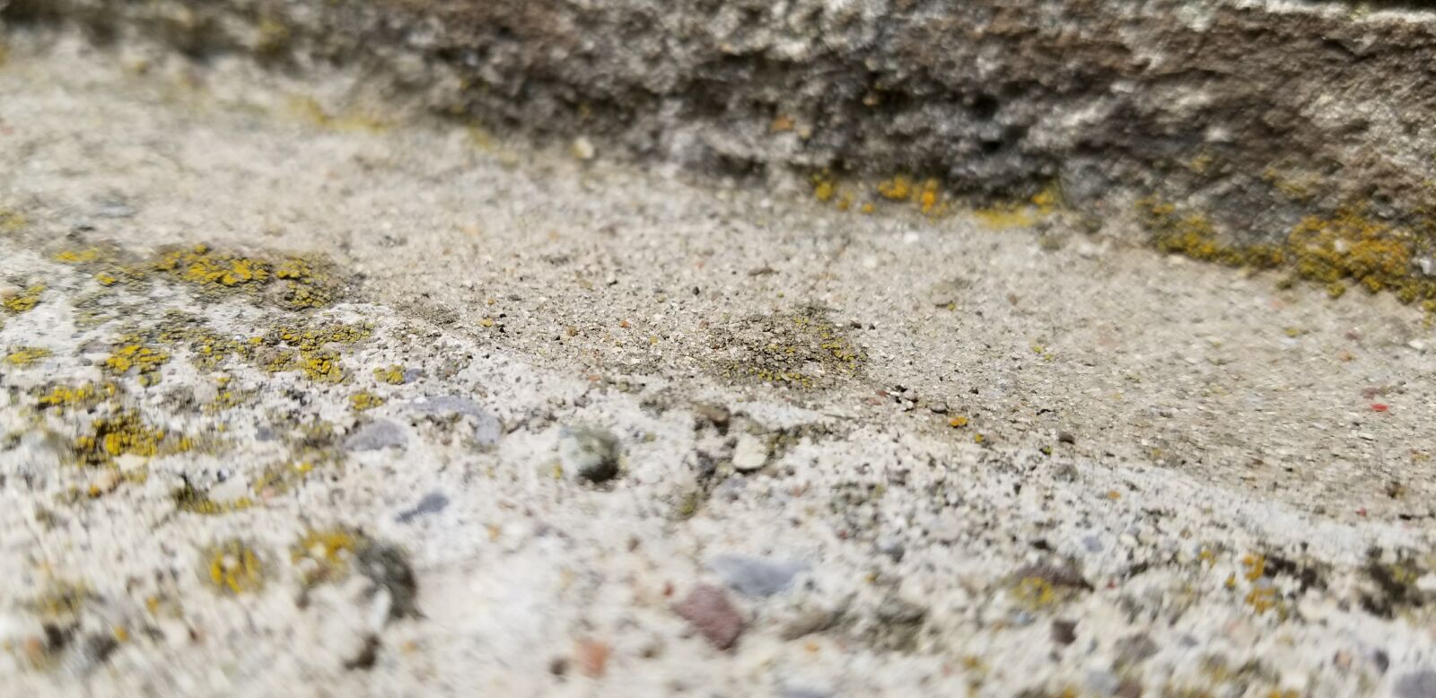 Samsung Galaxy S8 sample photo