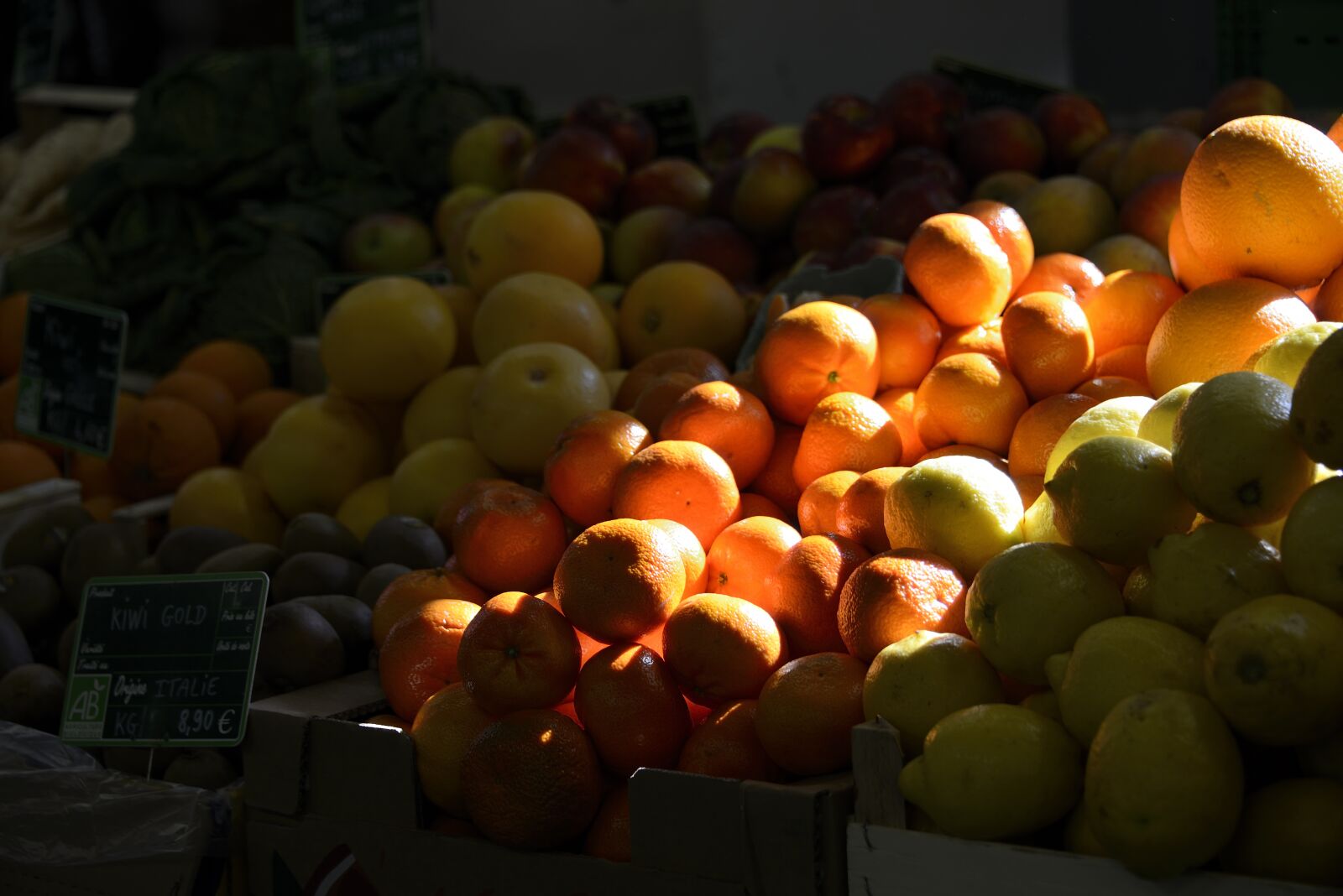 Nikon D800 sample photo. Oranges, sun, nature photography