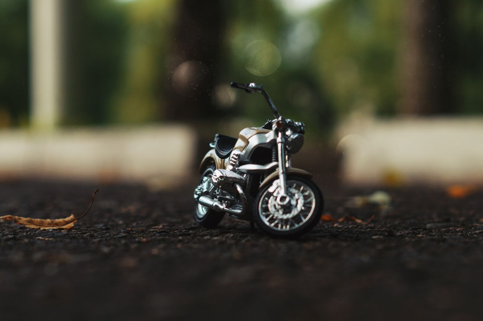 Sony SLT-A58 + Sony DT 50mm F1.8 SAM sample photo. Motorcycles, bokeh, nature photography
