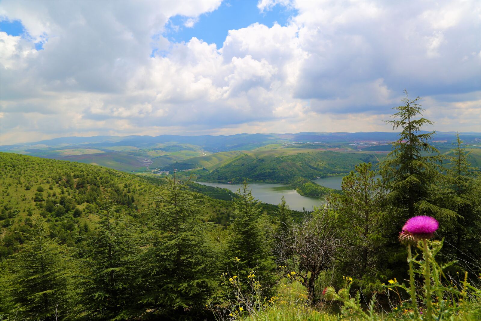 Canon EF 24-105mm F4L IS USM sample photo. Landscape, lake, water photography