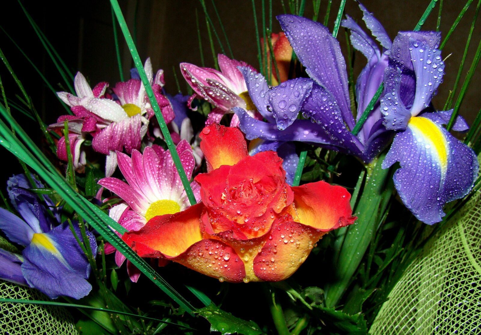 Sony Cyber-shot DSC-H50 sample photo. Flowers, bouquet, many colors photography