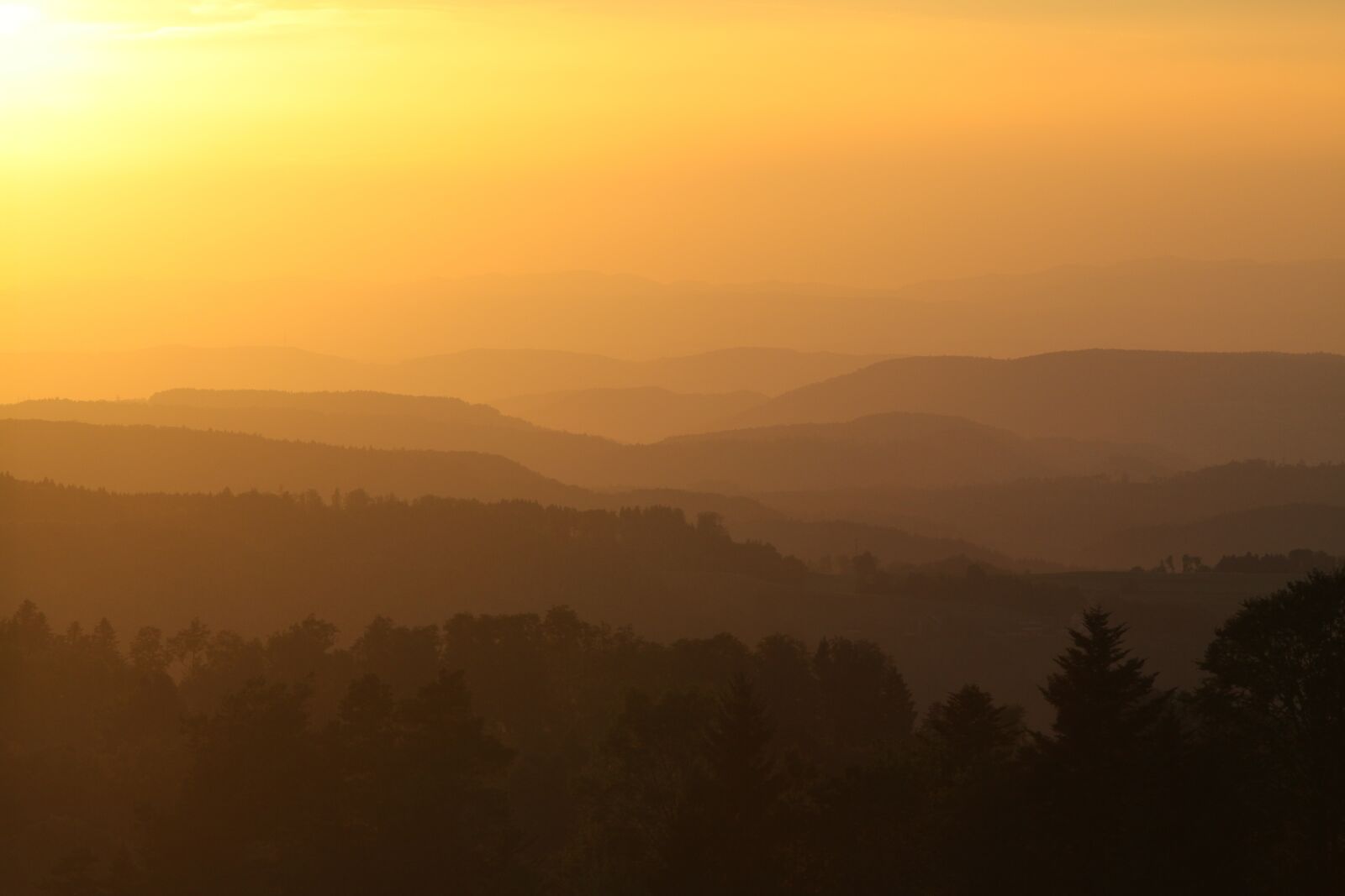 Canon EOS 5D Mark II sample photo. Sunset, yellow, perspective photography