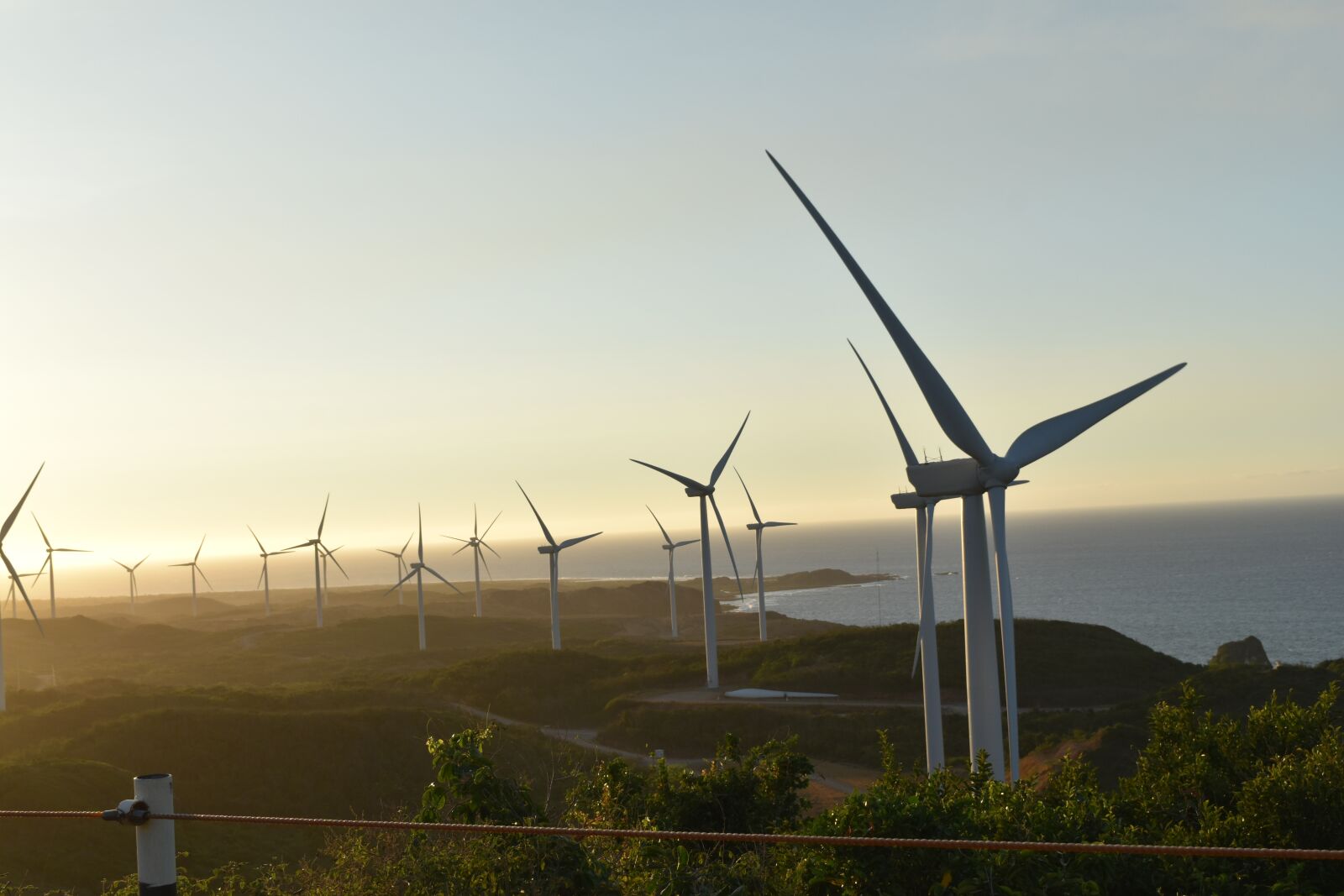 Nikon D5500 sample photo. Philippines, windy, peace photography