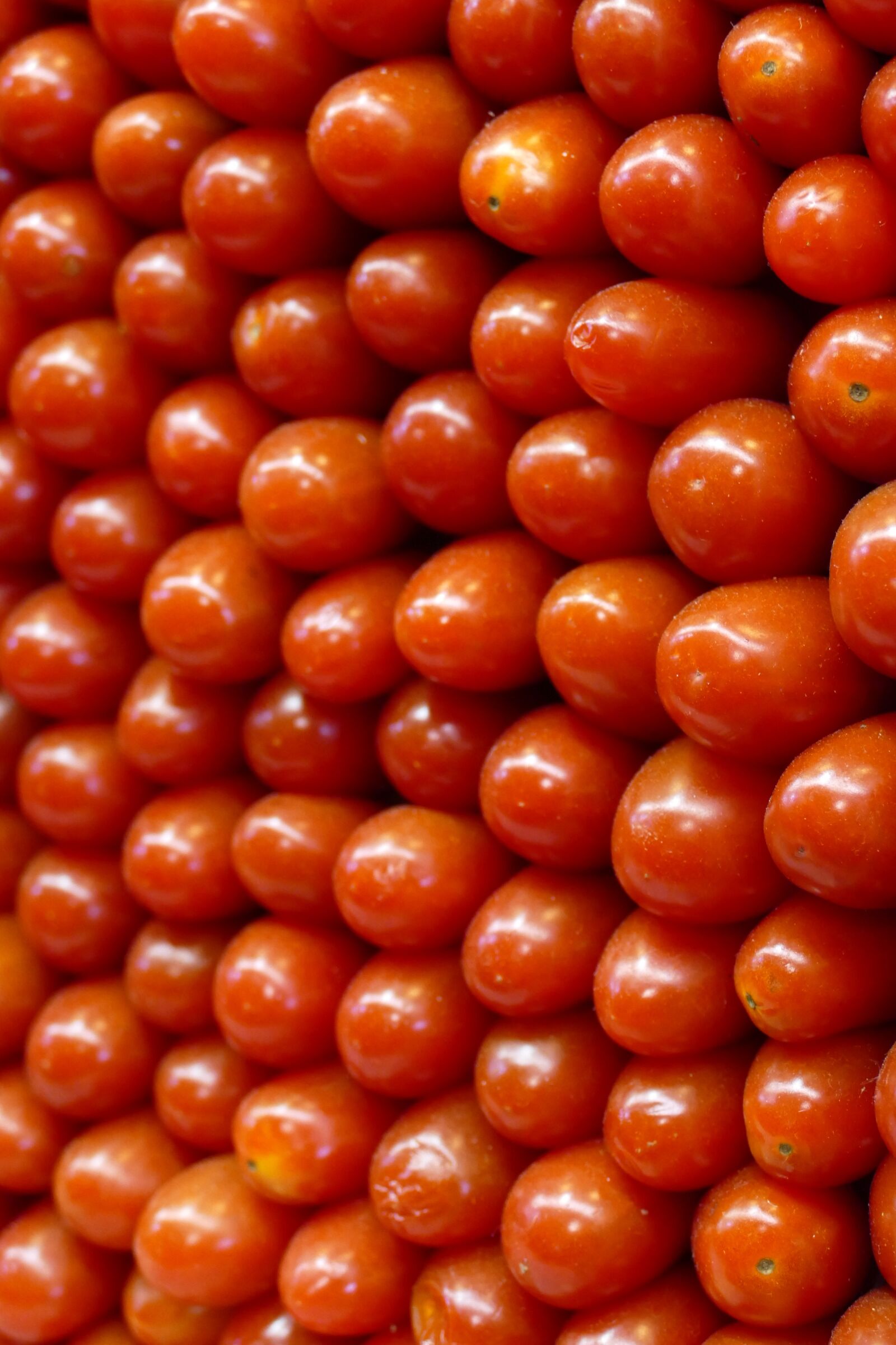 Panasonic Lumix DMC-FZ1000 sample photo. Tomato, small, mini photography