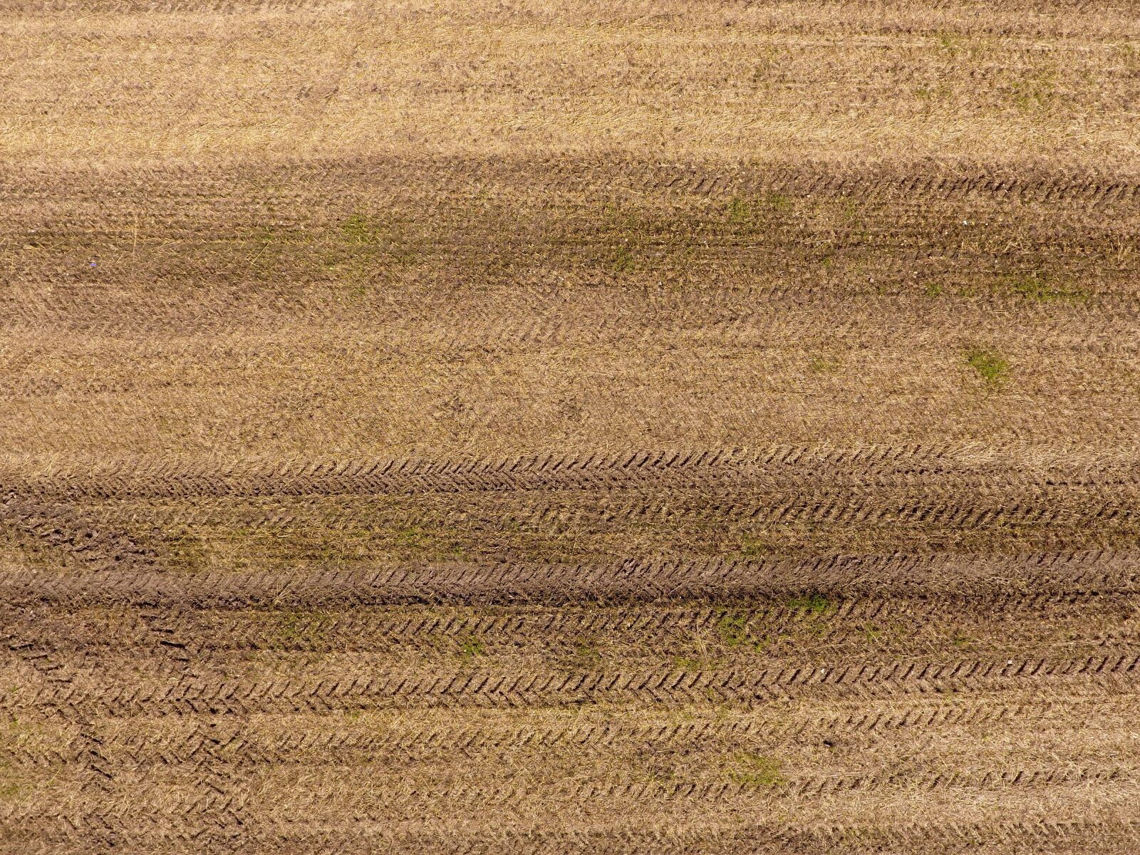 DJI FC330 sample photo. Field, aerial, landscape photography