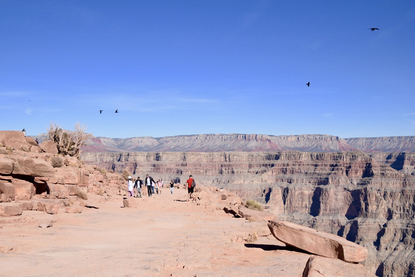 Nikon D3300 sample photo. Grand canyon, arizona, america photography