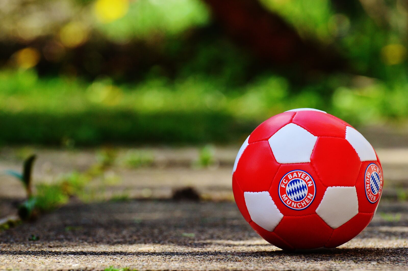 Nikon D3200 sample photo. Bayern munich, football club photography