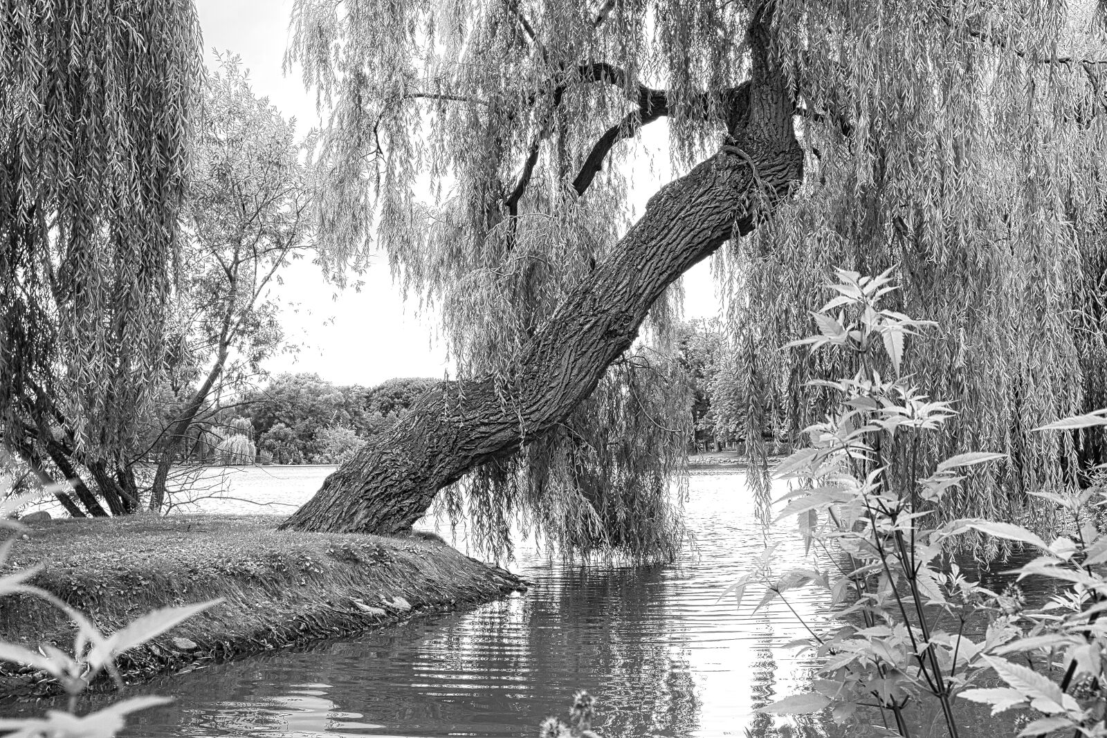 Fujifilm X-T2 sample photo. Waters, landscape, black and photography
