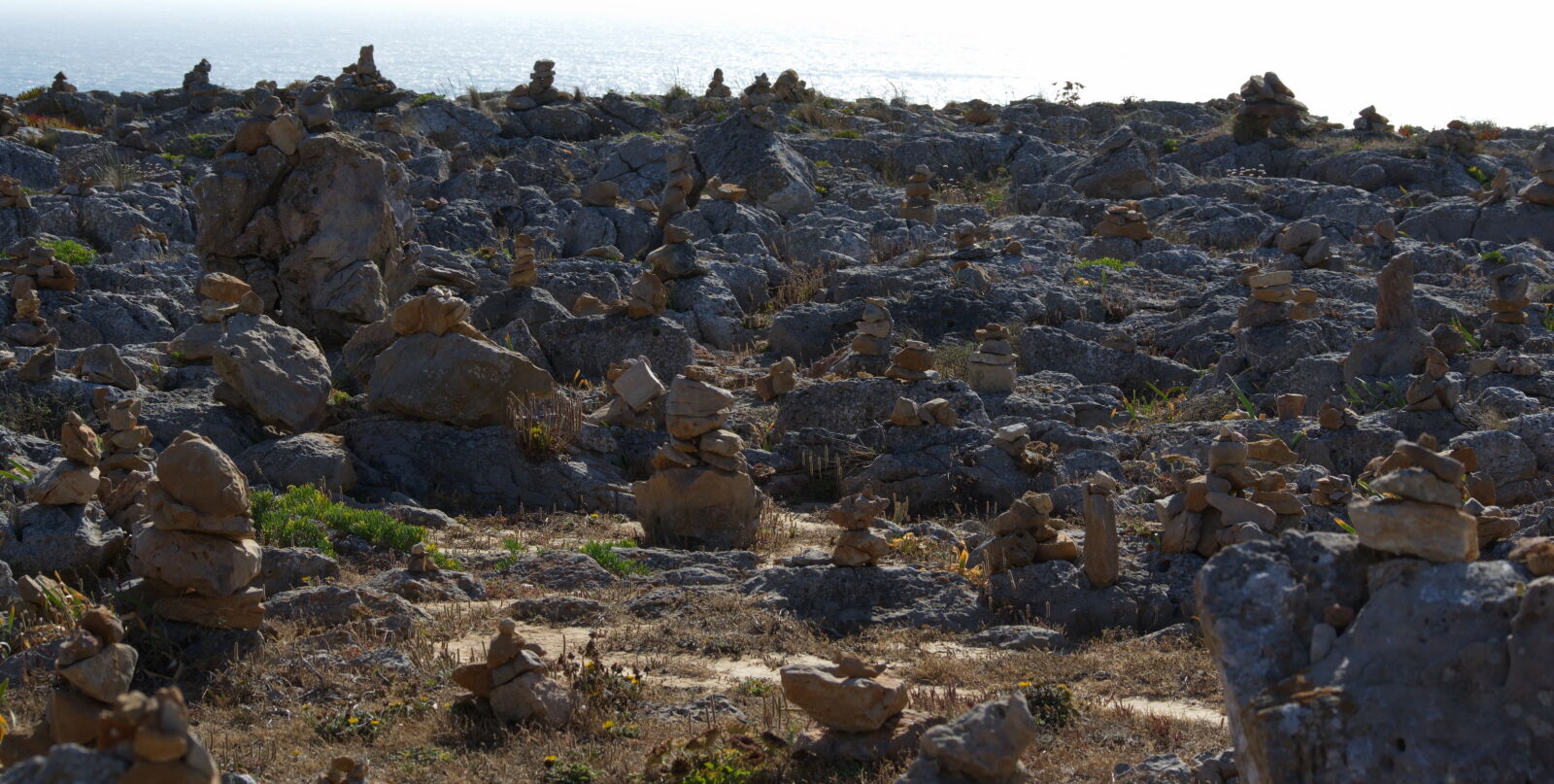 Nikon D3100 sample photo