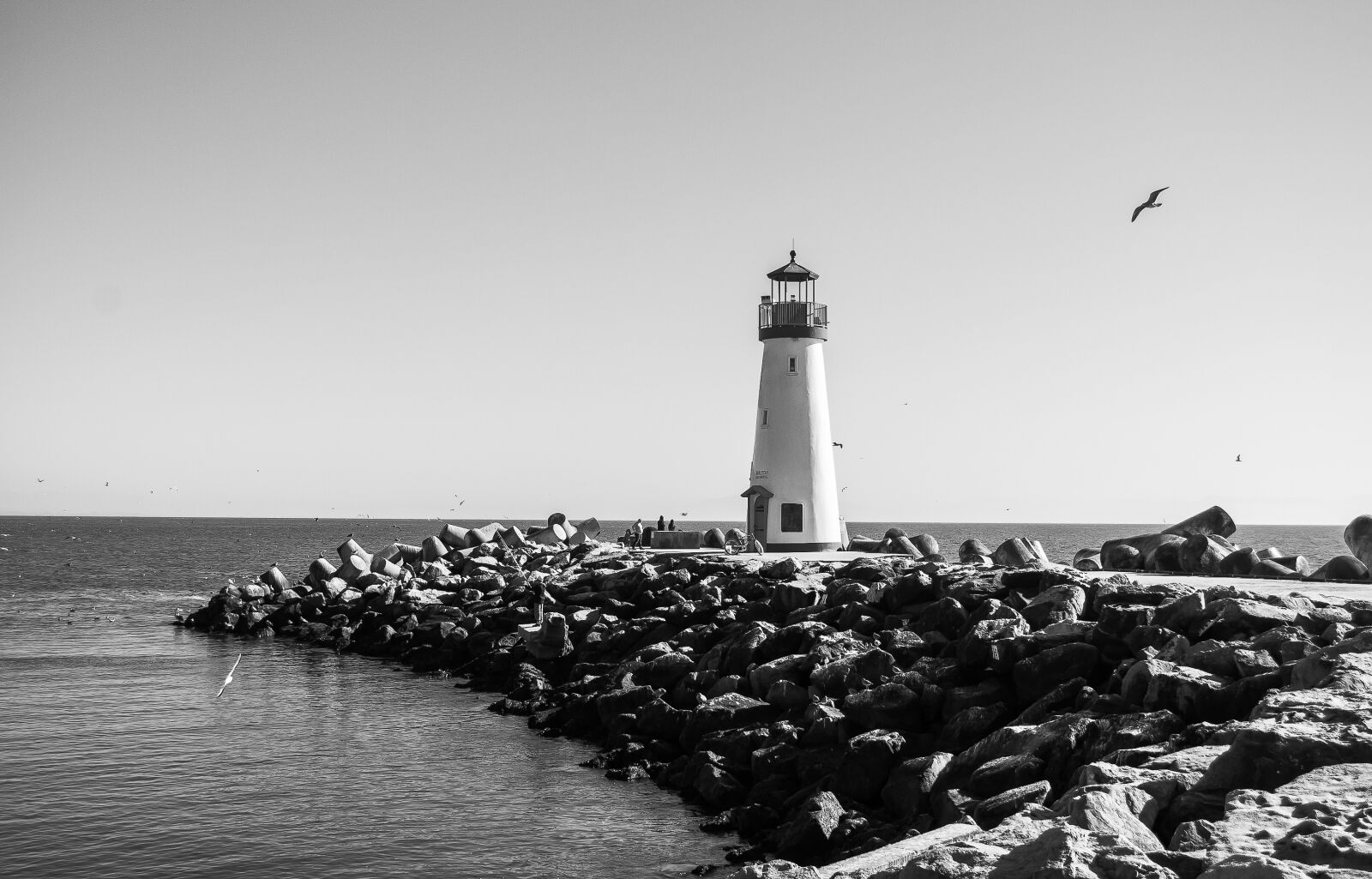 Nikon D5000 sample photo. Lighthouse, santa, cruz, black photography