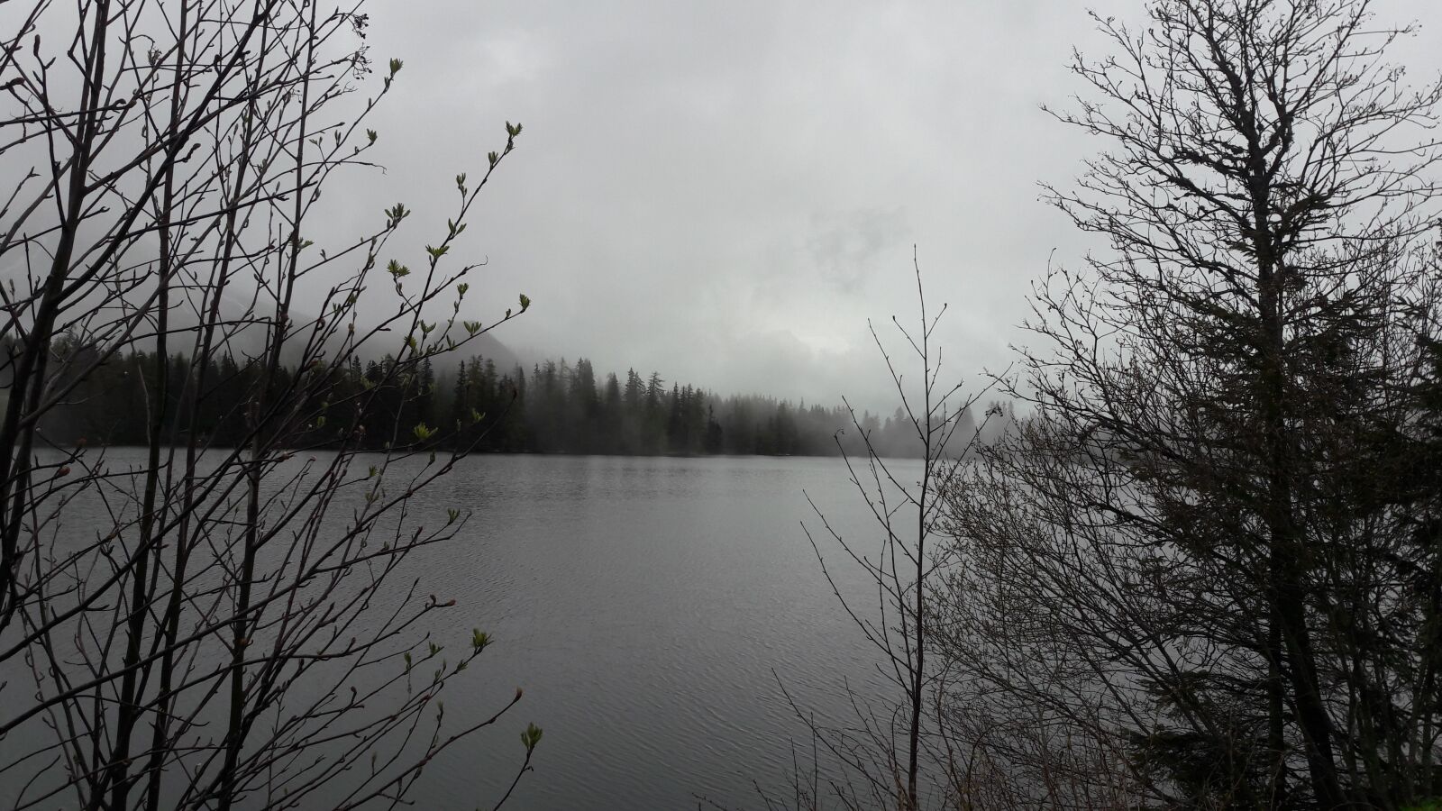 Samsung Galaxy A5(2016) sample photo. Pine, lake, fog photography
