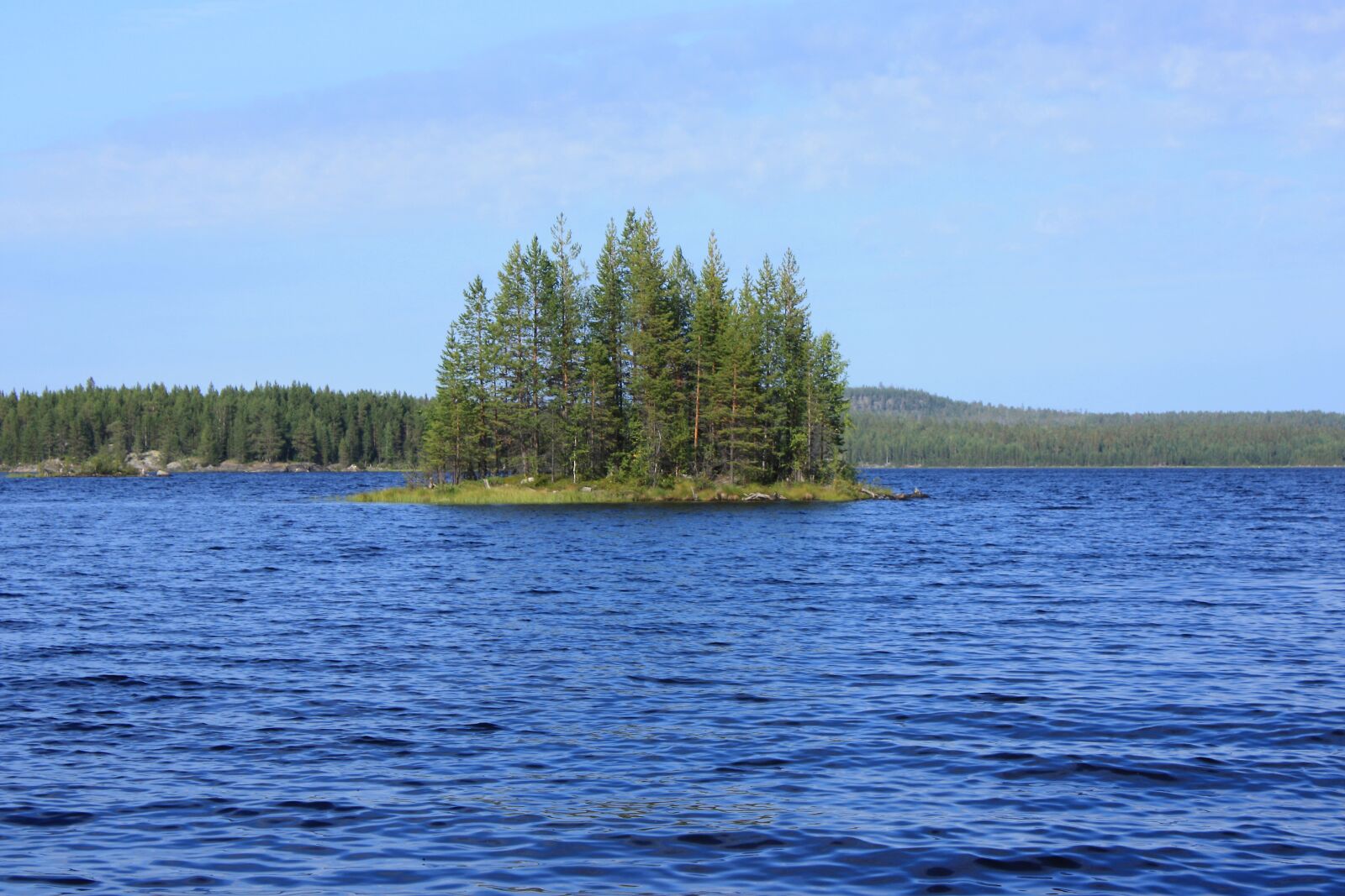 Canon EOS 450D (EOS Rebel XSi / EOS Kiss X2) sample photo. Russia, karelia, nature photography