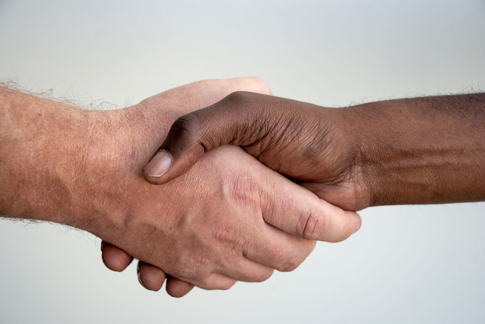 Nikon D80 sample photo. Hands, handshake, people photography