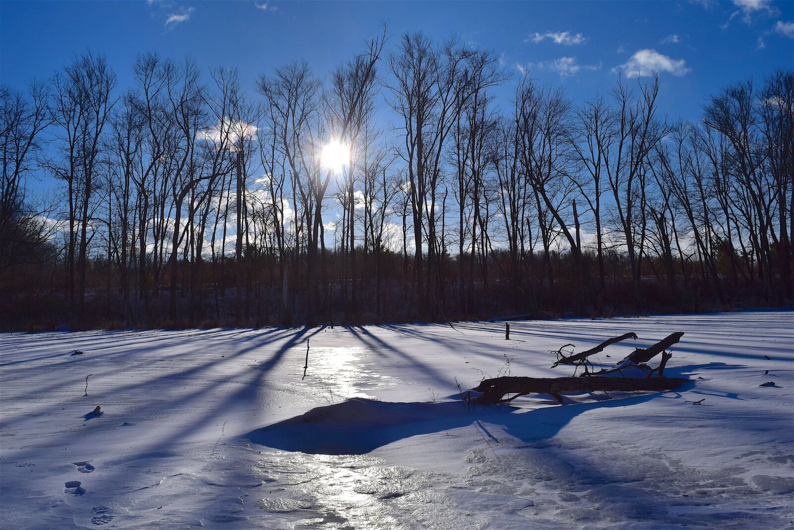 Nikon D3300 sample photo. Snow, landscape, trees photography
