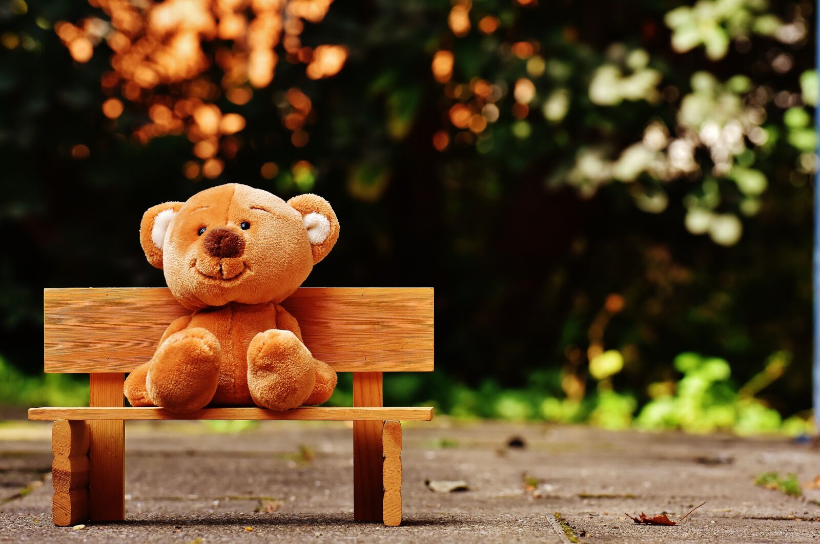 Nikon D7200 sample photo. Teddy, bank, sit photography