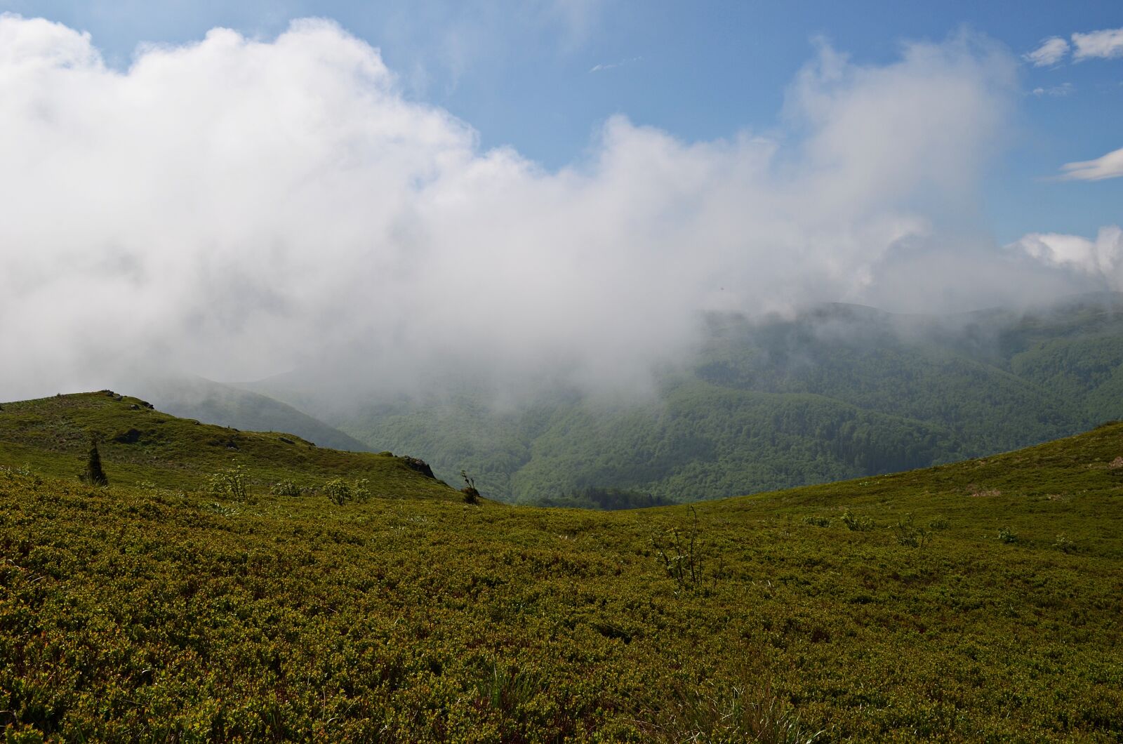 Nikon D5100 sample photo. Mountains, landscape, bieszczady photography