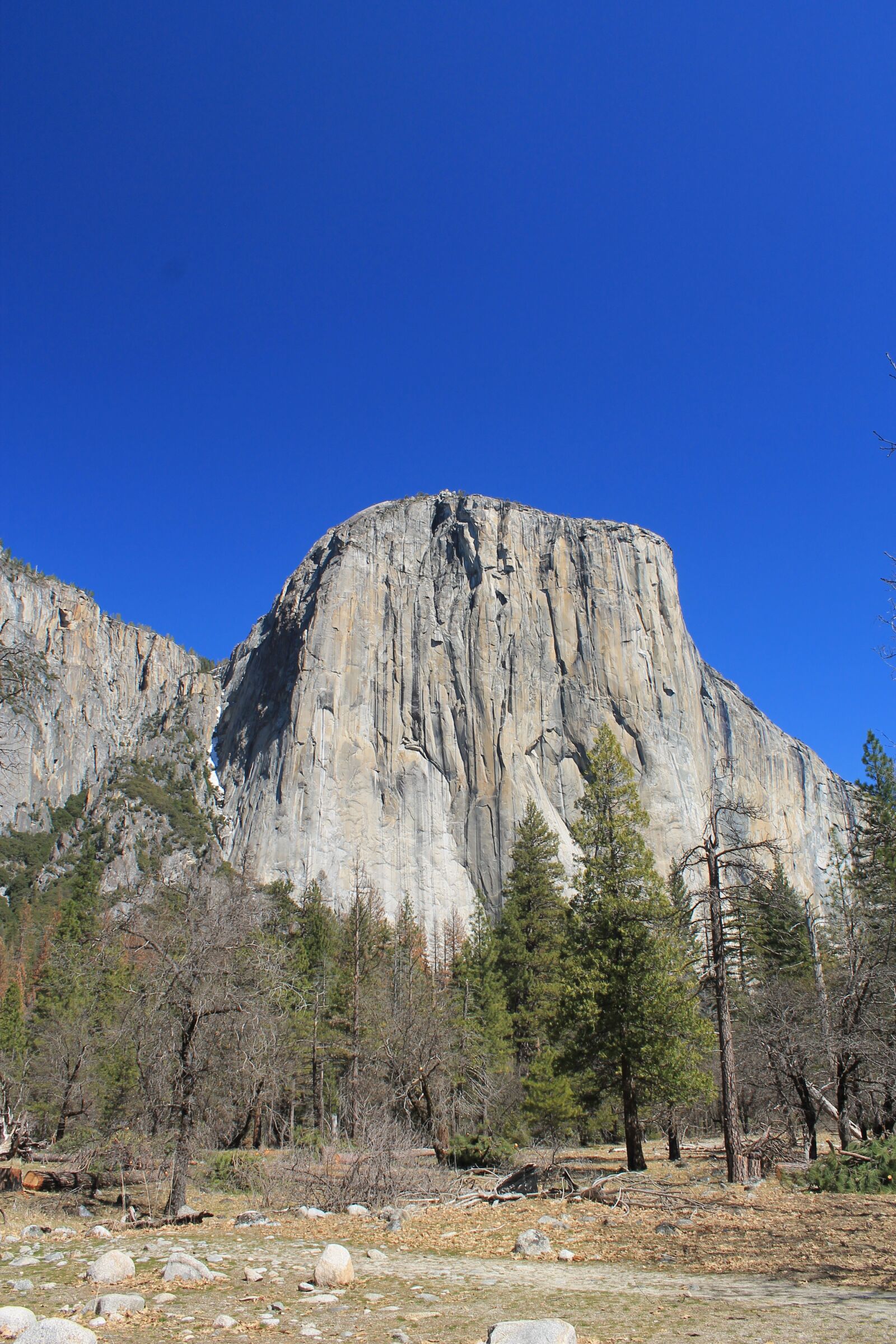 Canon EOS 1100D (EOS Rebel T3 / EOS Kiss X50) sample photo. El capitan, yosemite, usa photography