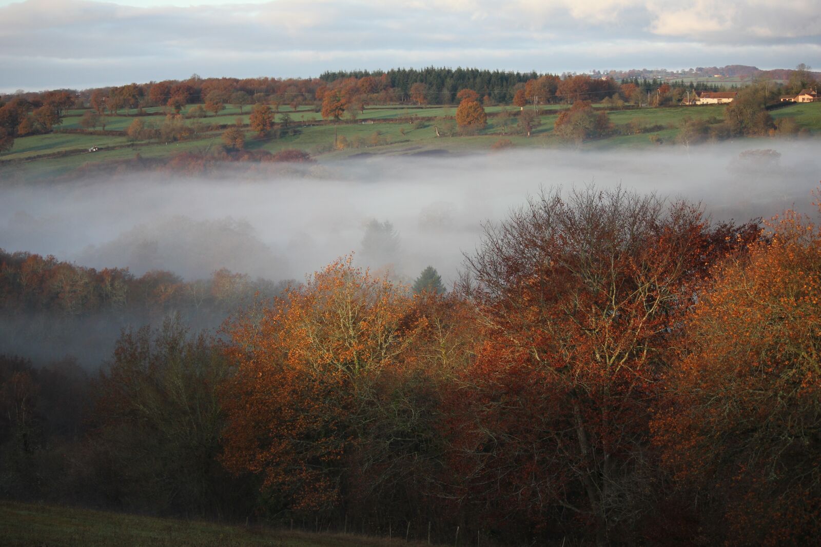 Canon EOS 550D (EOS Rebel T2i / EOS Kiss X4) sample photo. Mist, valley, field photography