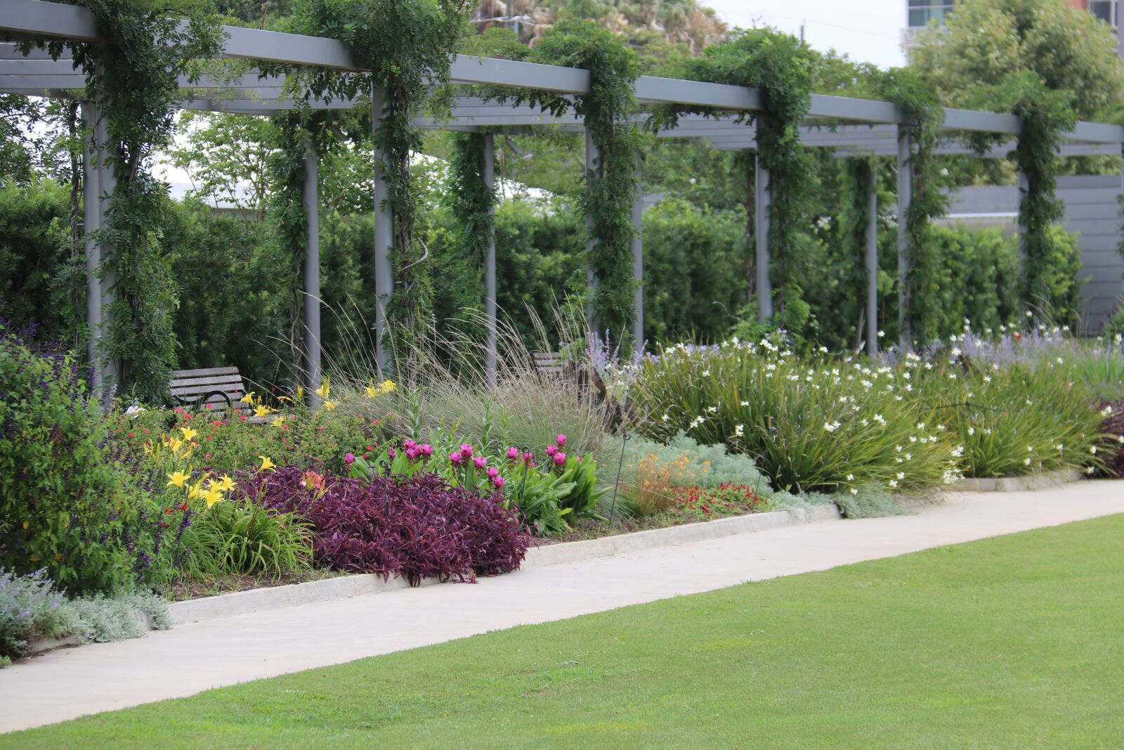 Canon EOS 750D (EOS Rebel T6i / EOS Kiss X8i) sample photo. Garden, park, nature photography