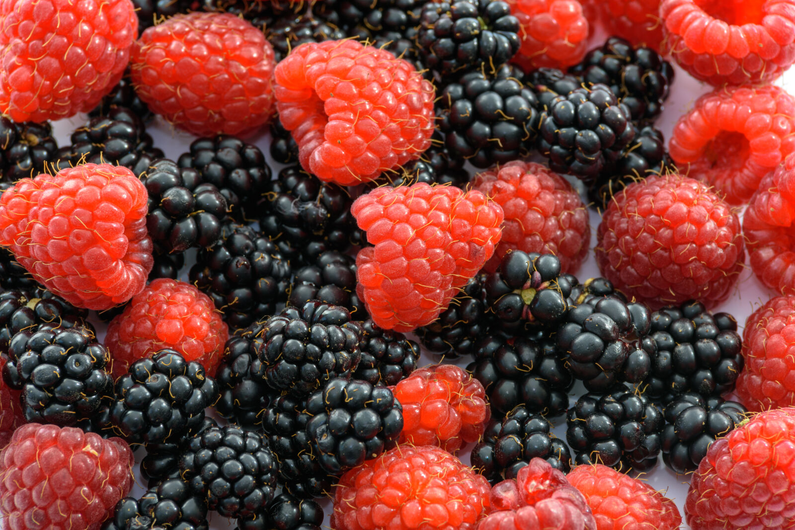 Tamron SP AF 70-200mm F2.8 Di LD (IF) MACRO sample photo. Berries, berry, blackberries, blackberry photography