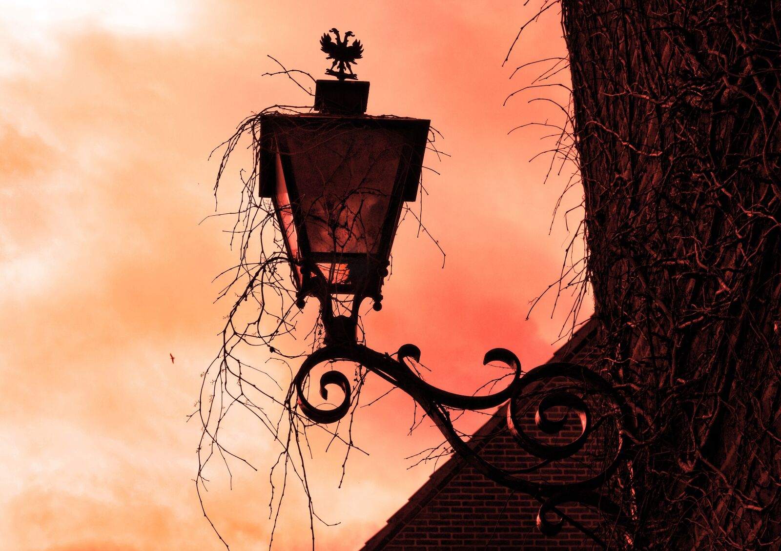 Sony Cyber-shot DSC-RX100 sample photo. Facade lantern, wall lamp photography