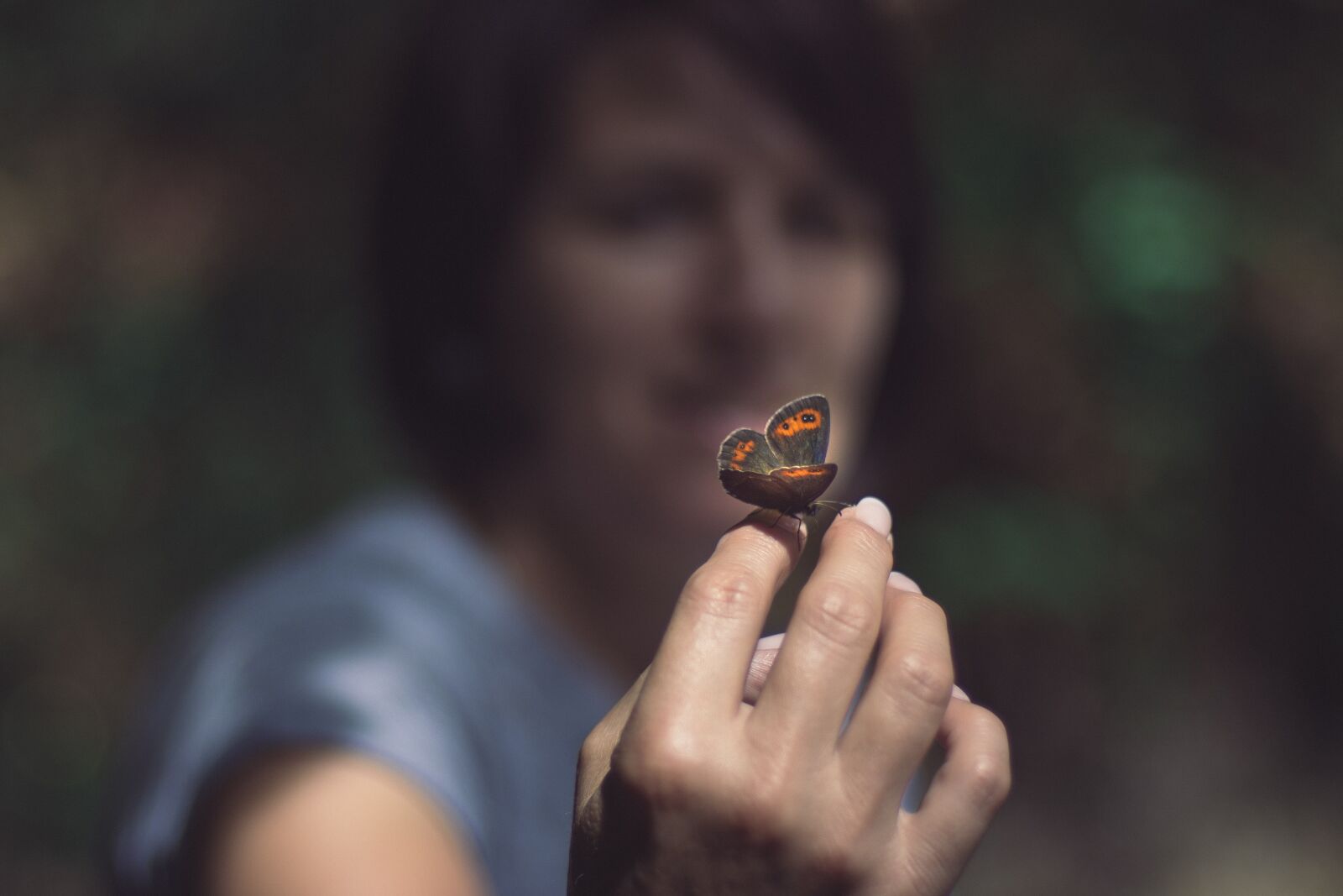 Nikon D7200 sample photo. Butterfly, hand, insect photography