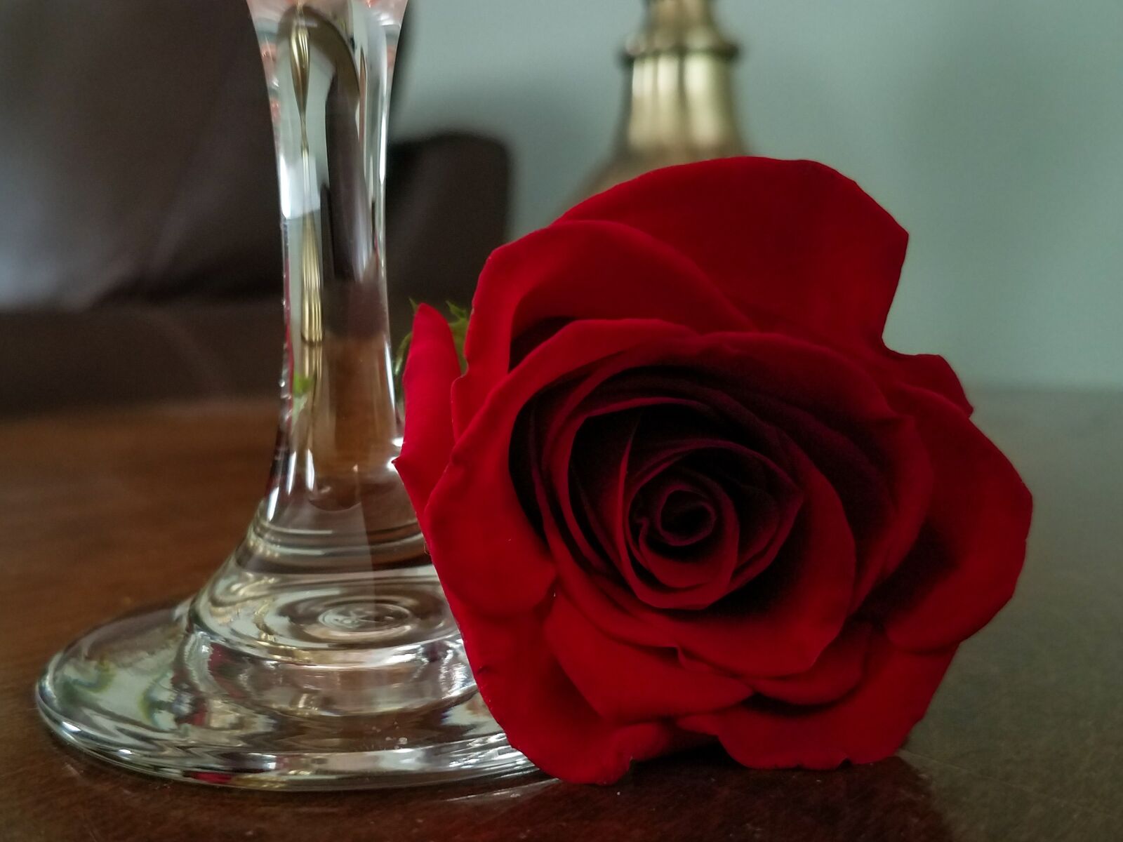 Samsung Galaxy S7 Edge Rear Camera sample photo. Rose, red, romantic photography