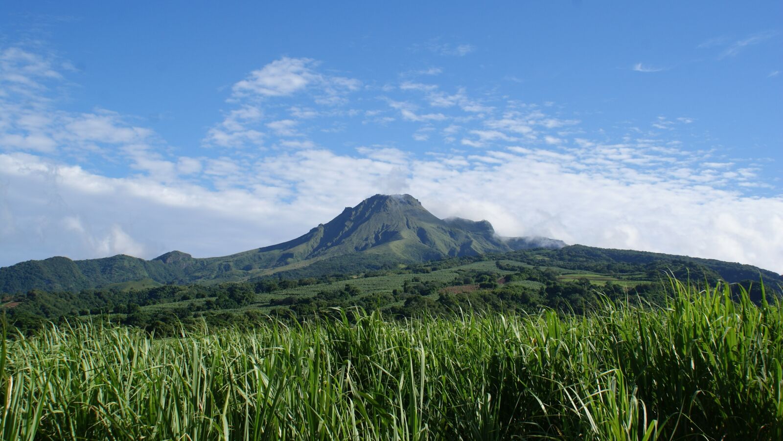 Sony Alpha DSLR-A200 sample photo. Nature, sky, blue sky photography