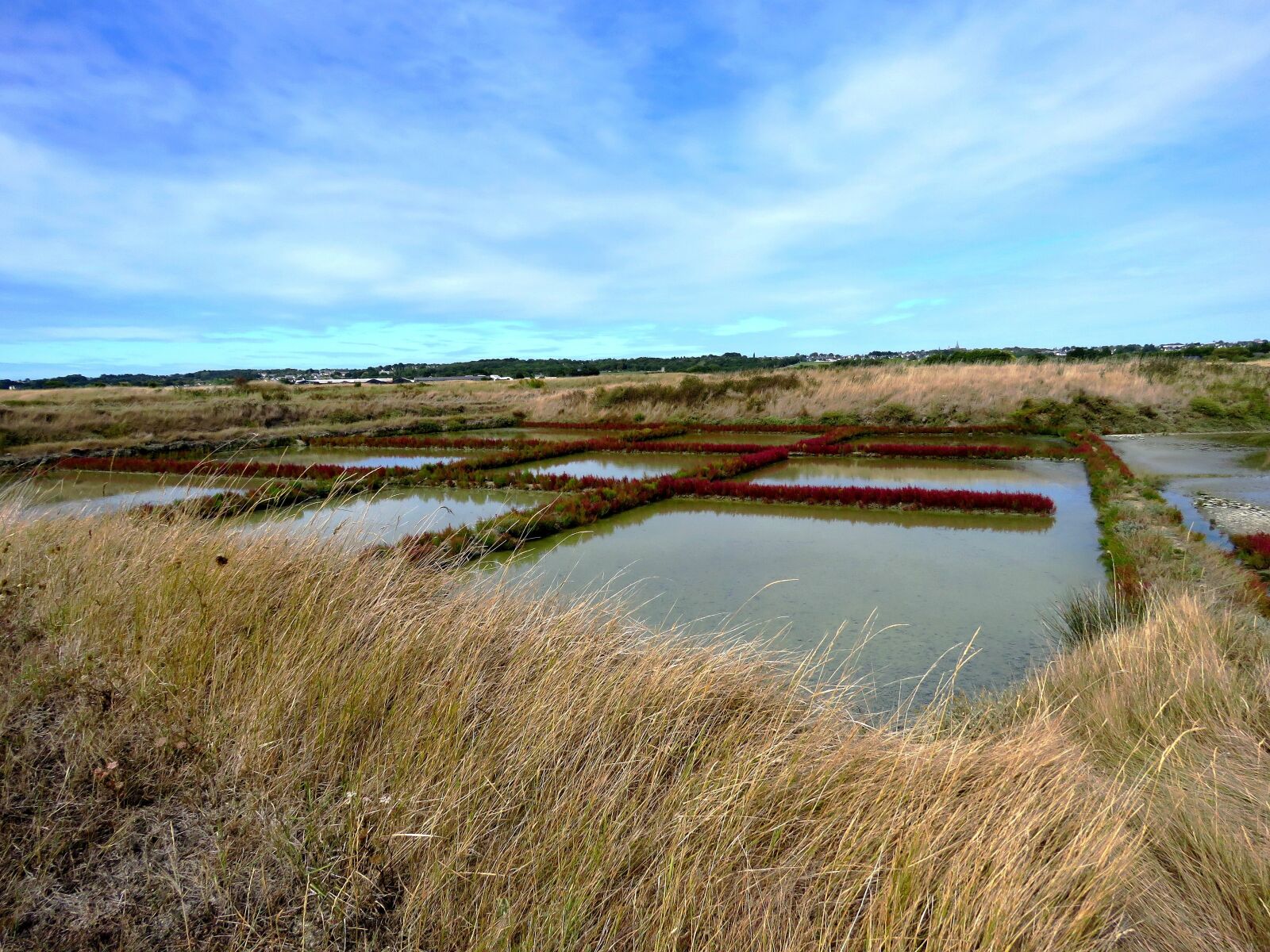 Canon PowerShot SX60 HS sample photo. Gu rande, salt marsh photography