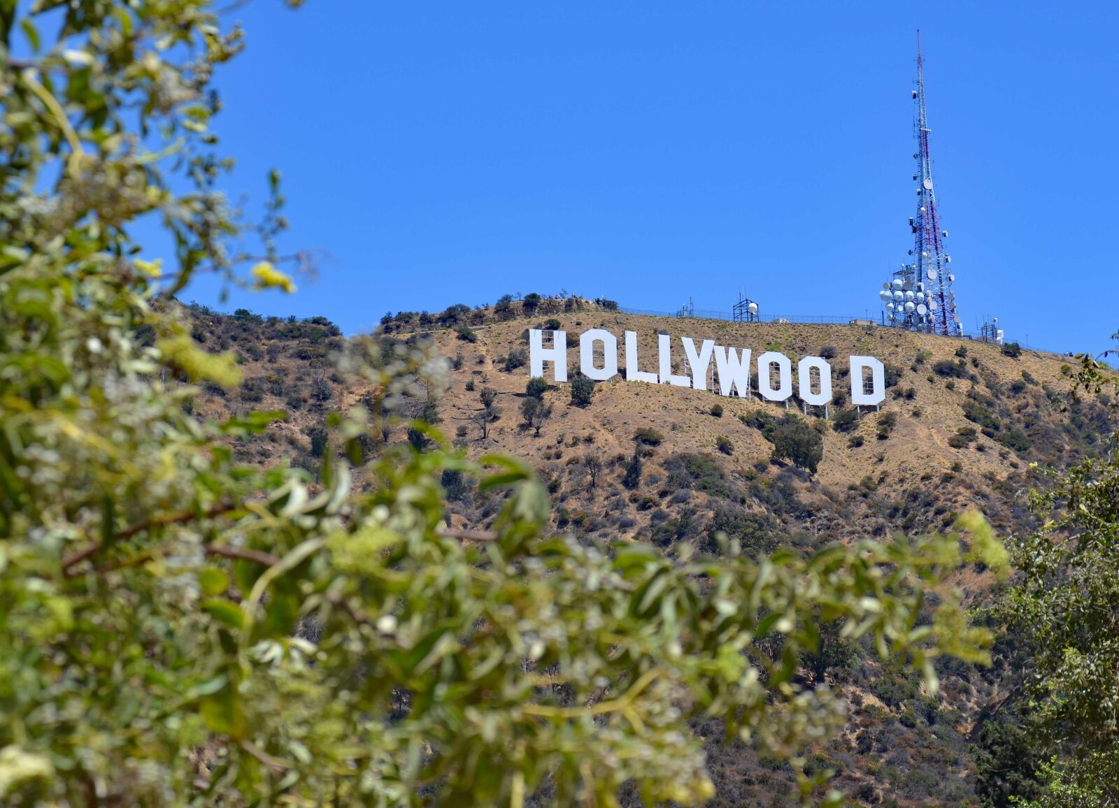 Nikon D5100 sample photo. Usa, los angeles, hollywood photography