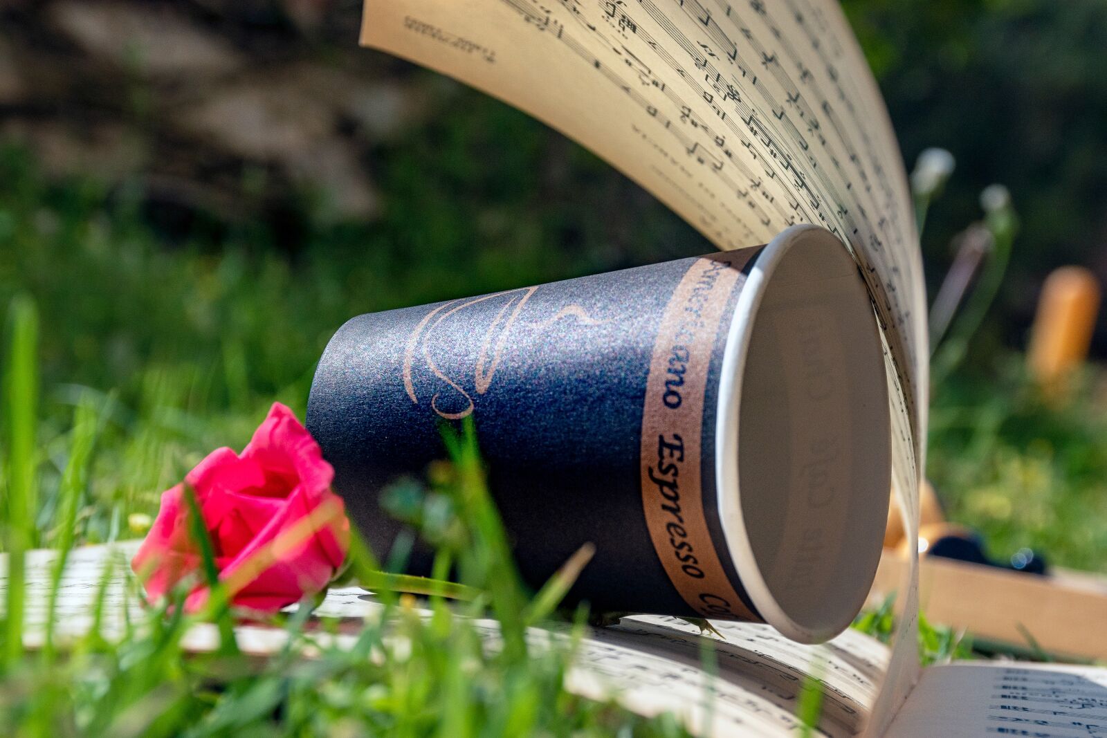 Nikon D5600 sample photo. Morning, coffee, cup photography