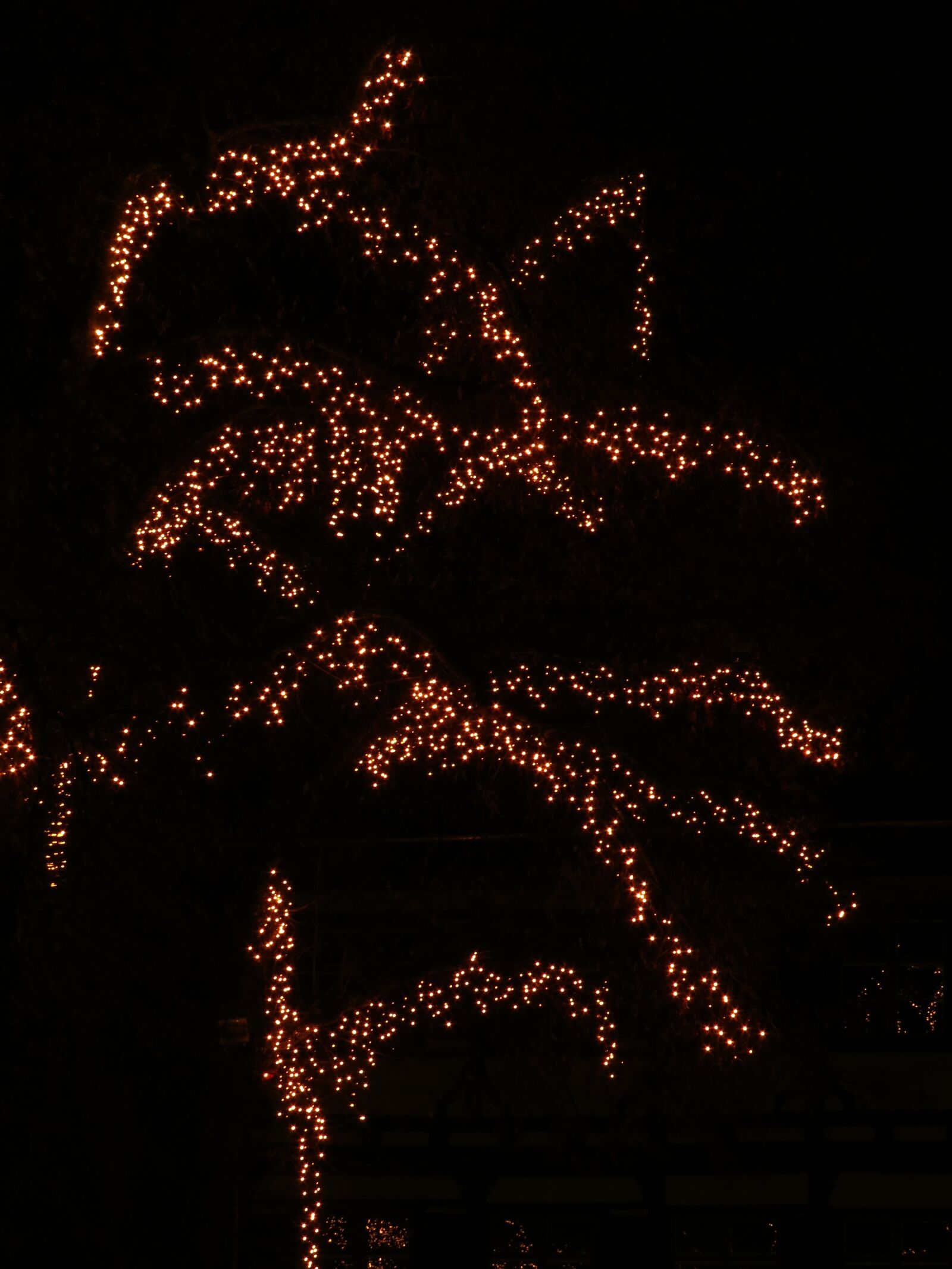 Canon PowerShot SX50 HS sample photo. Tree, deco, decoration photography